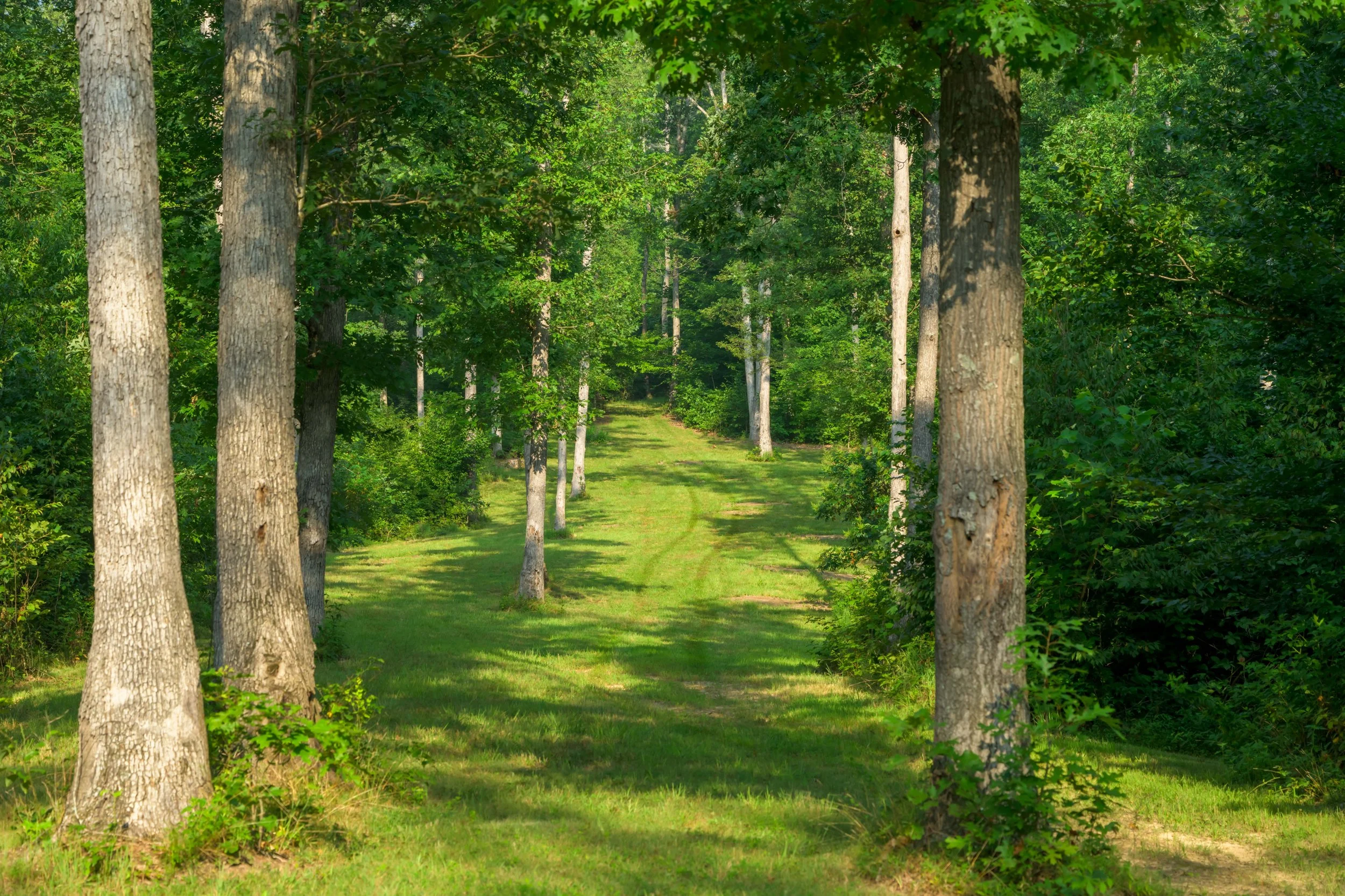 ThreeRidges-SouthernRidge_2.jpg