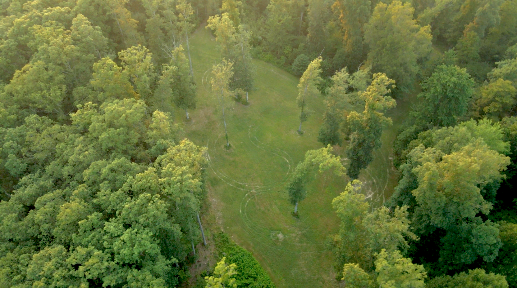 Hilltop Clearing