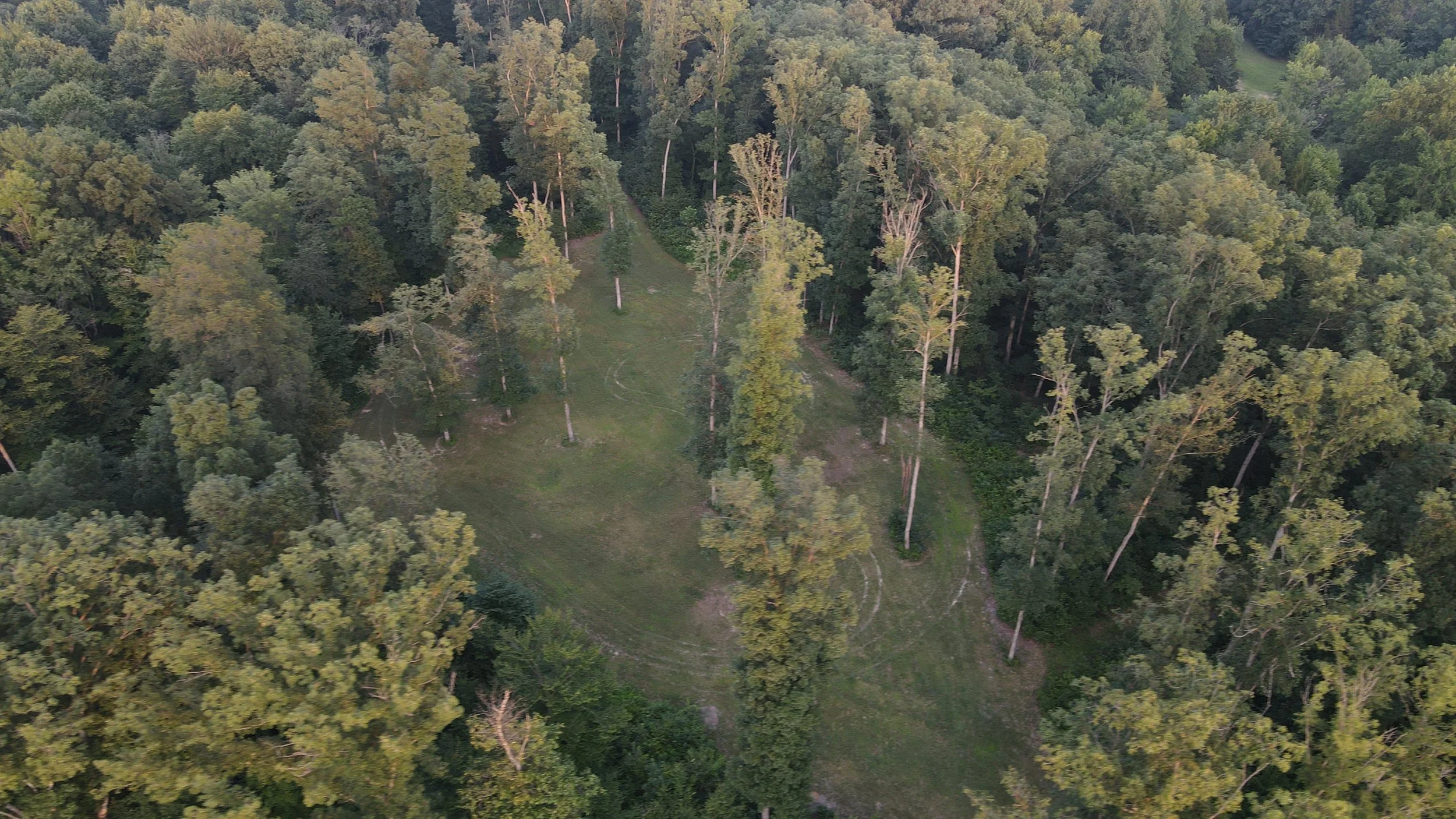Hilltop Clearing