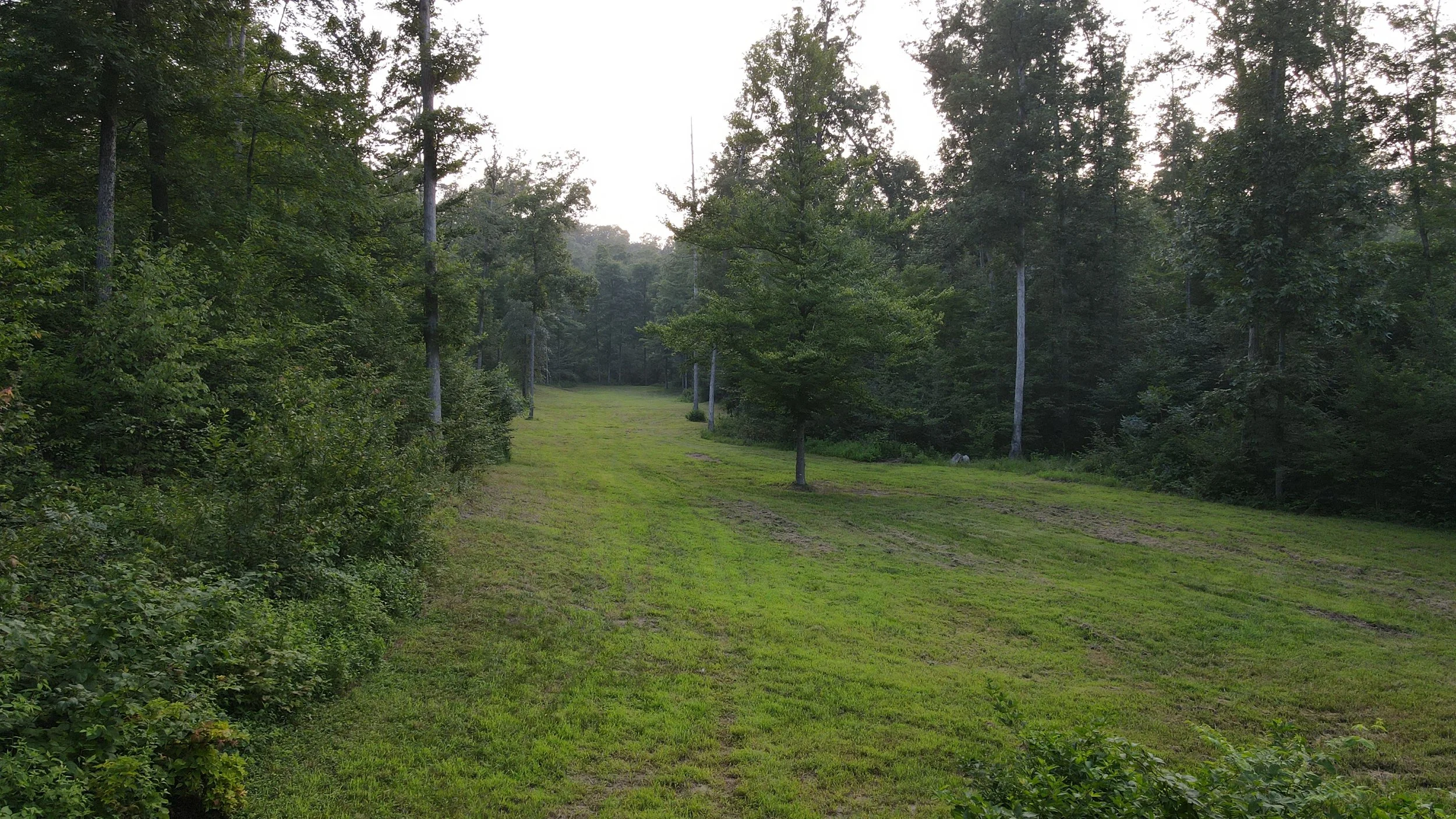 DJI_0018.JPG