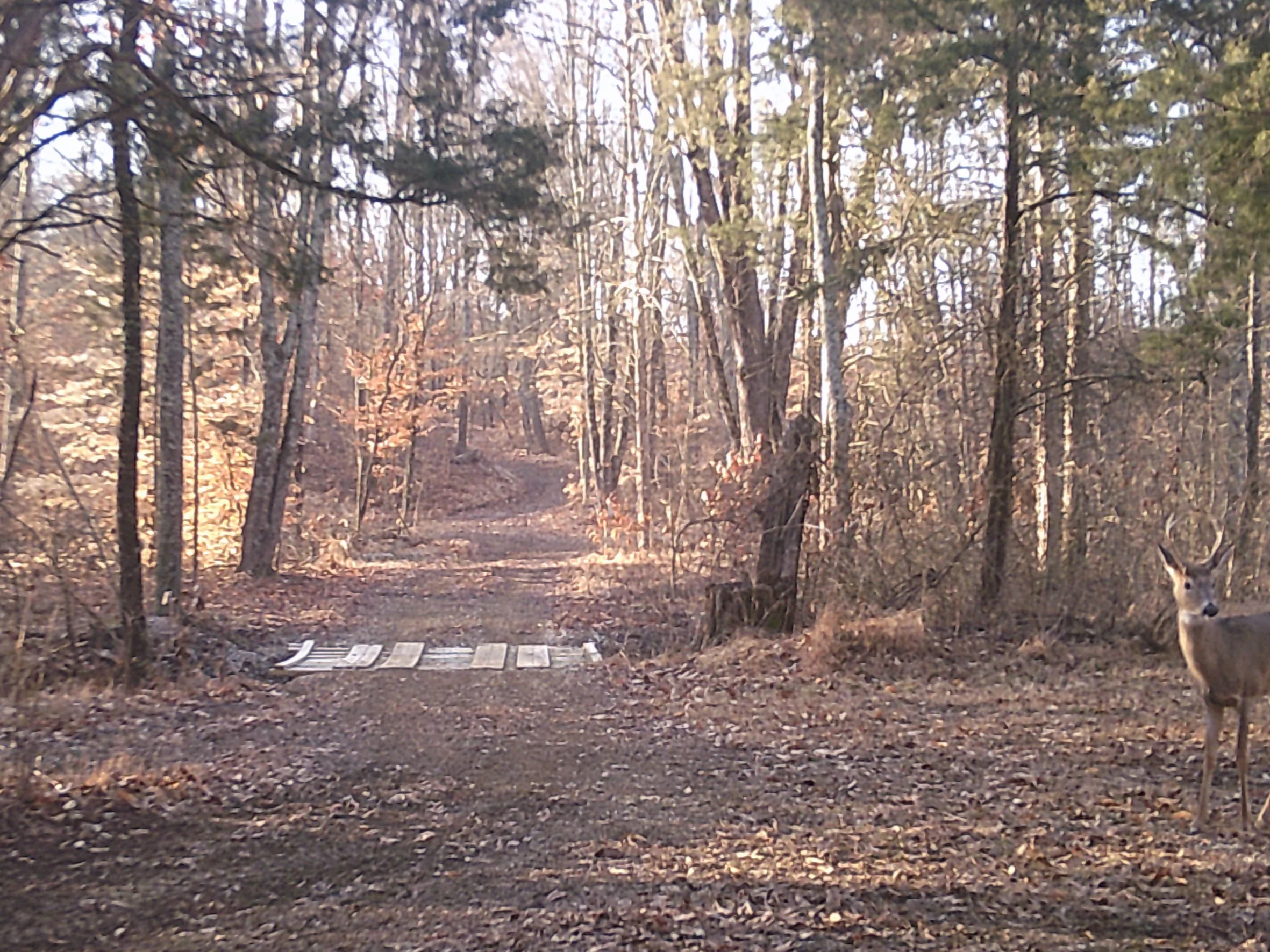ThreeRidges-3CreeksCrossing_3.png