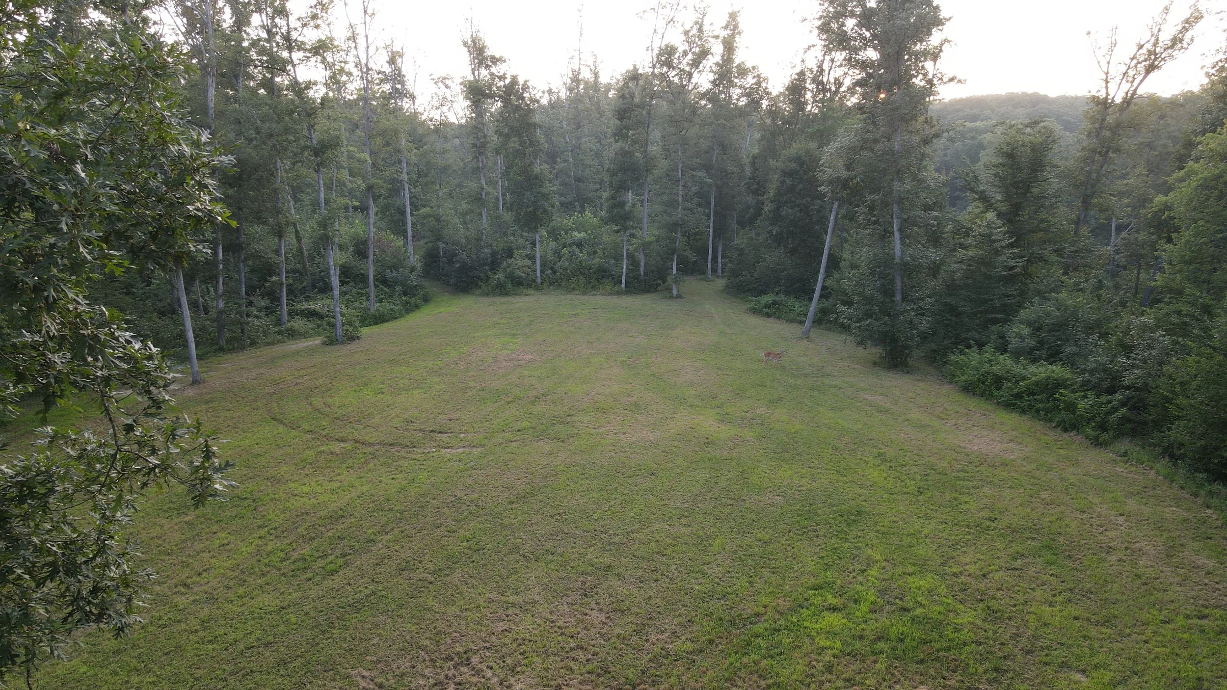 ThreeRidges-NorthernRidge_5.JPG