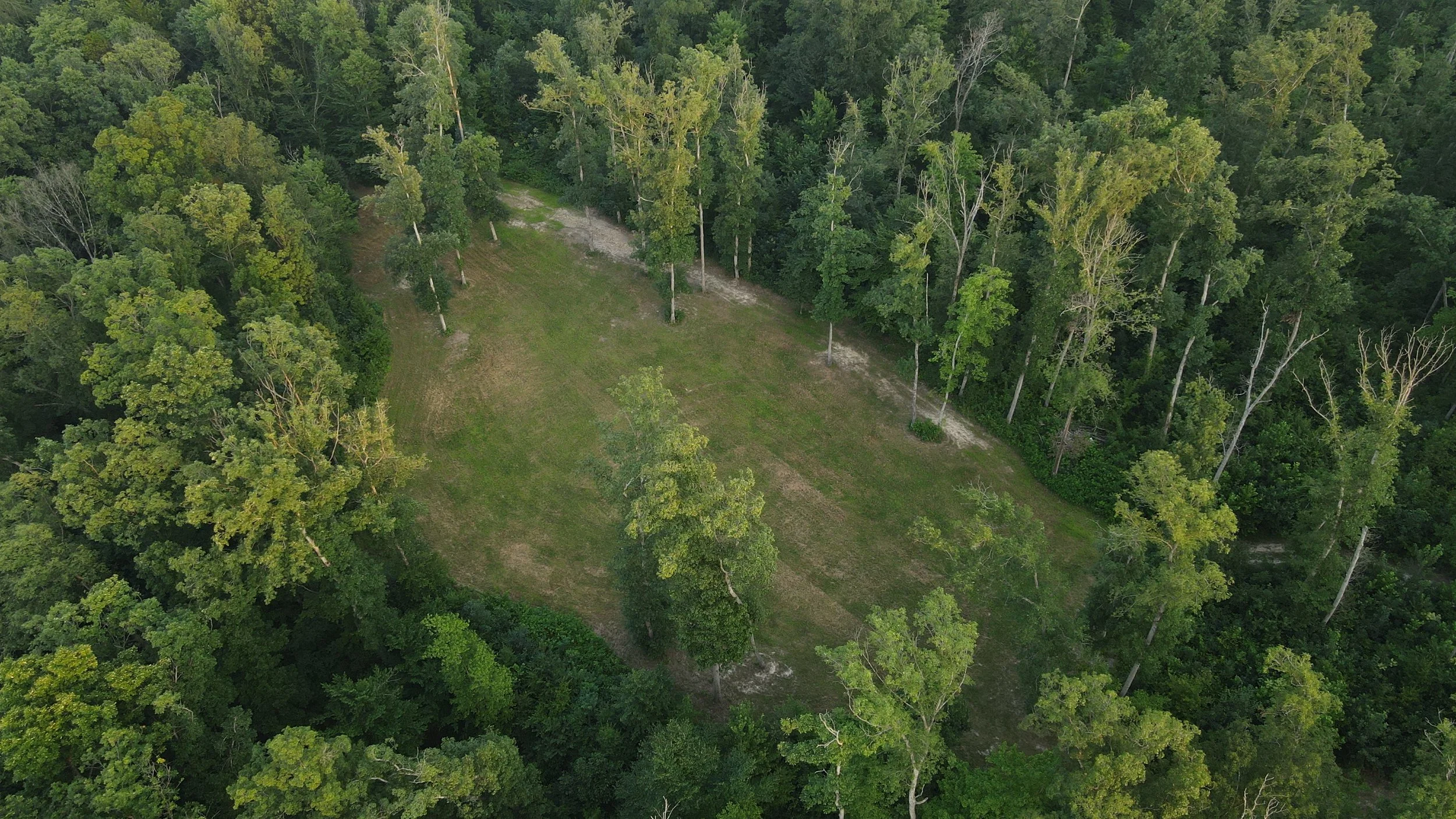 DJI_0011.JPG