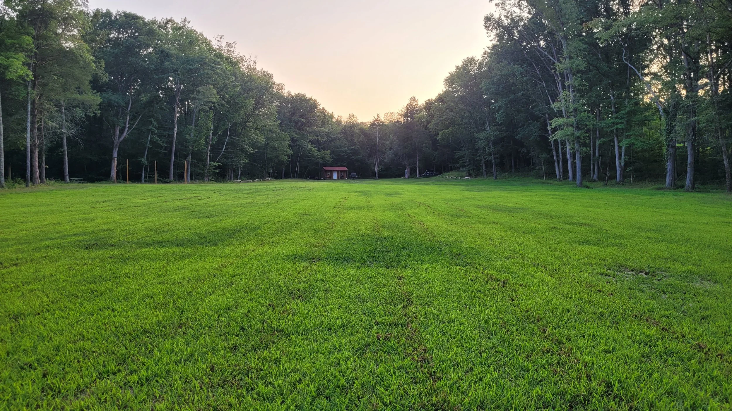 Main Field