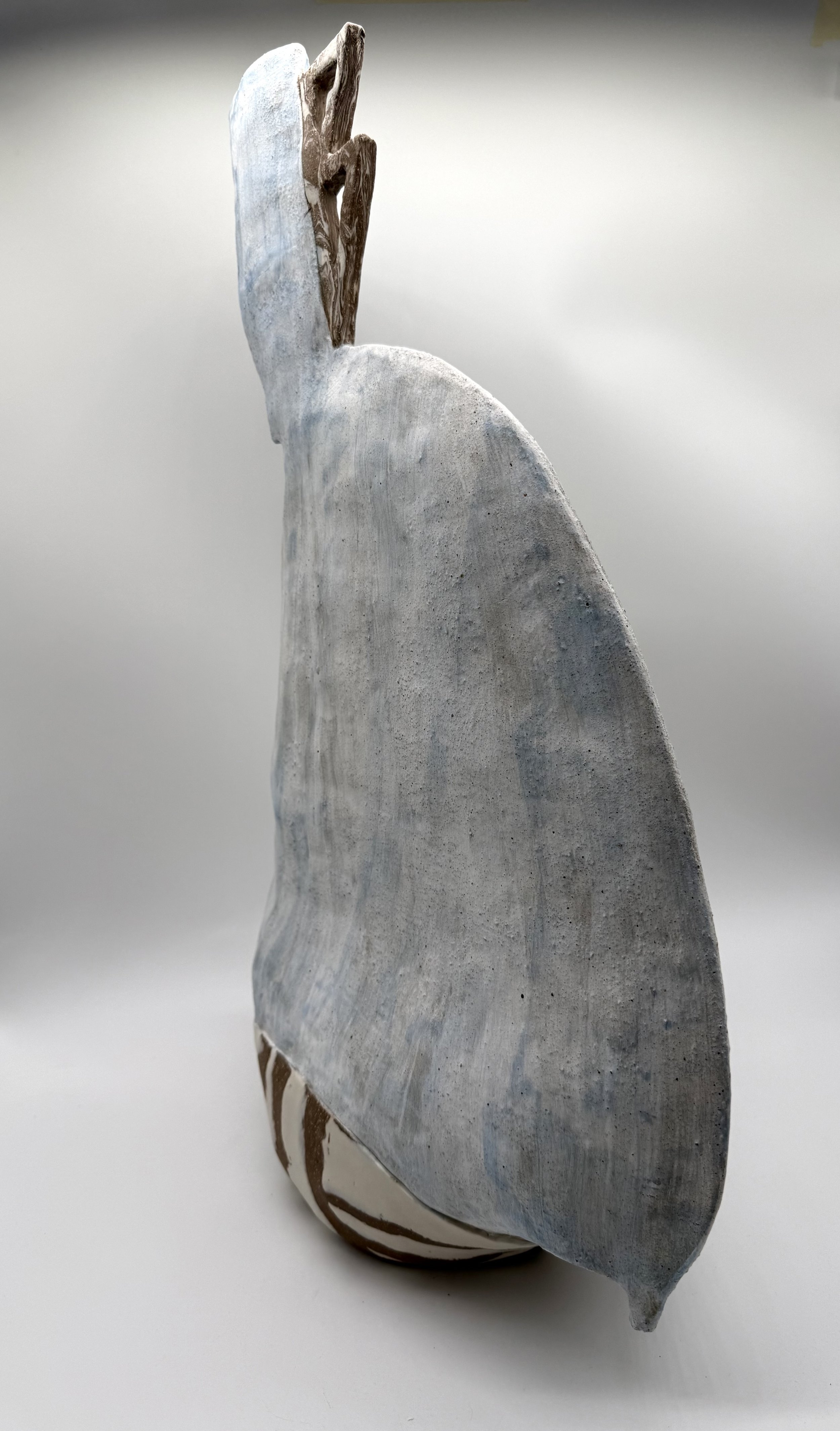 Close-up of a bird feather resembling a bird's head with a beak facing upward, with a textured surface and natural coloration.