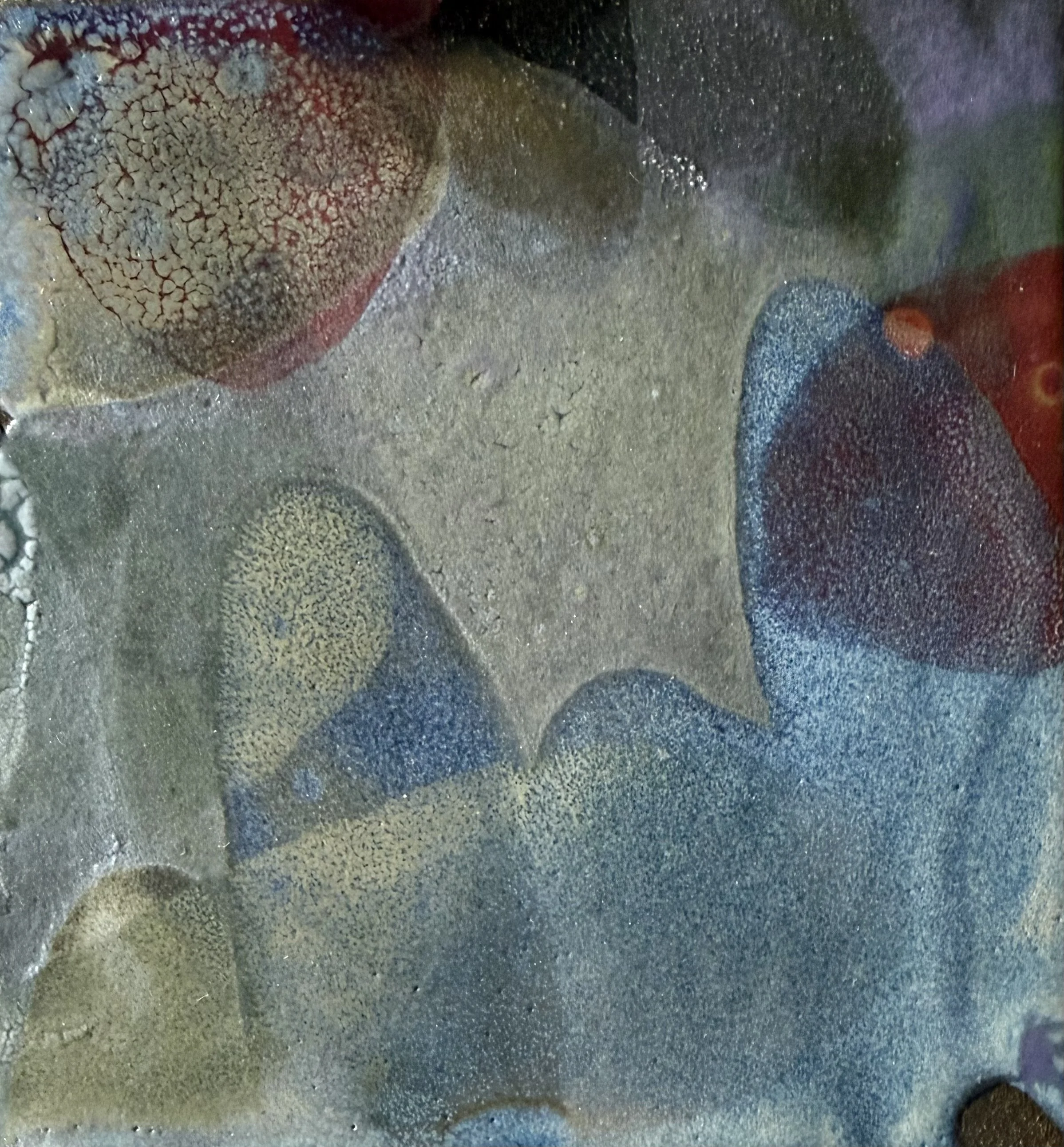 Close-up of textured rocks or coral with various colors, including red, yellow, black, and gray, and water droplets on the surface.