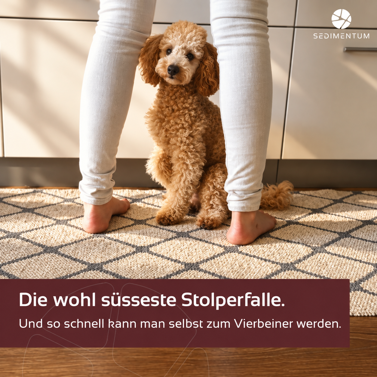 Süße Stolperfalle im Küchenlicht.png