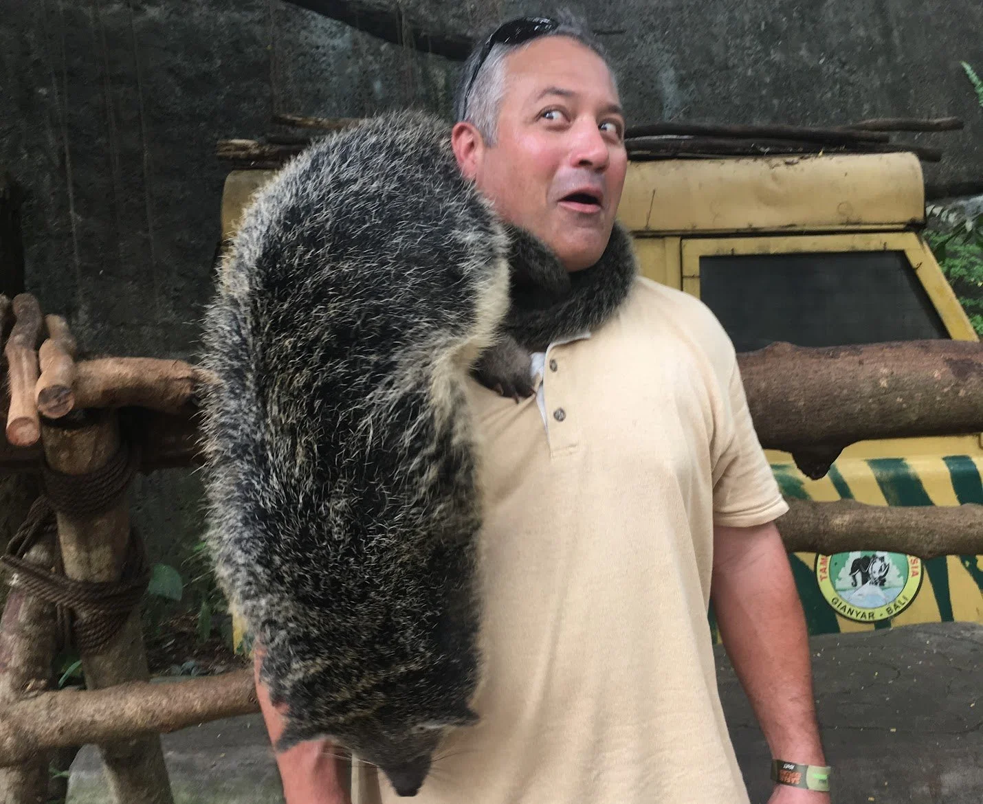 The Binturong: Indonesia