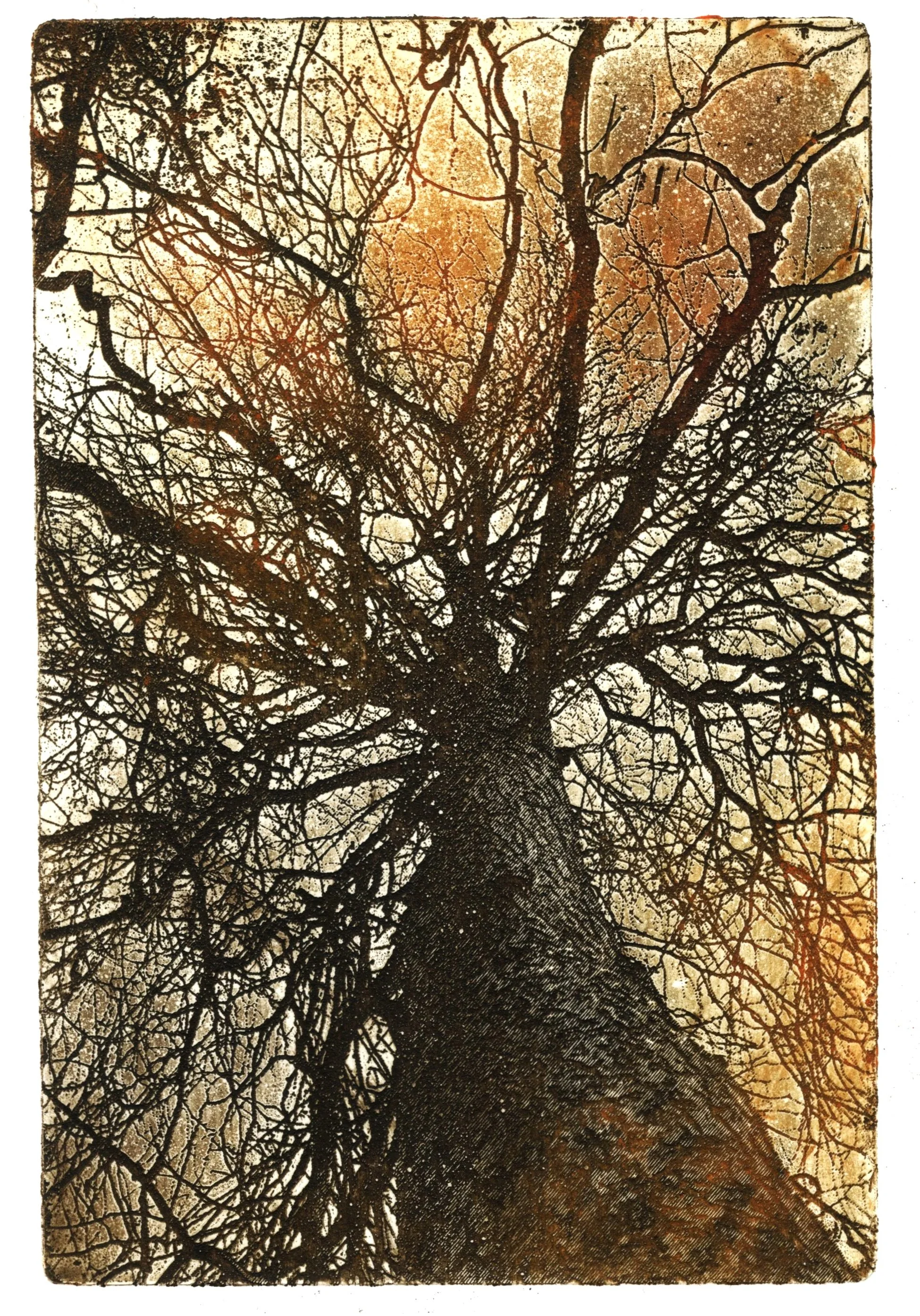 2025 𖦹 copper etching