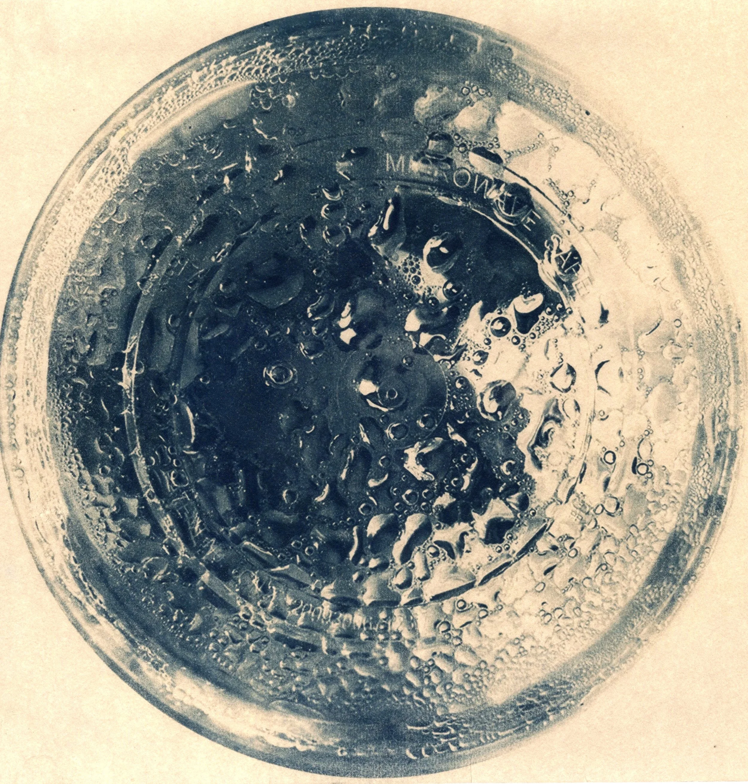 2025 𖦹 tea-toned cyanotype