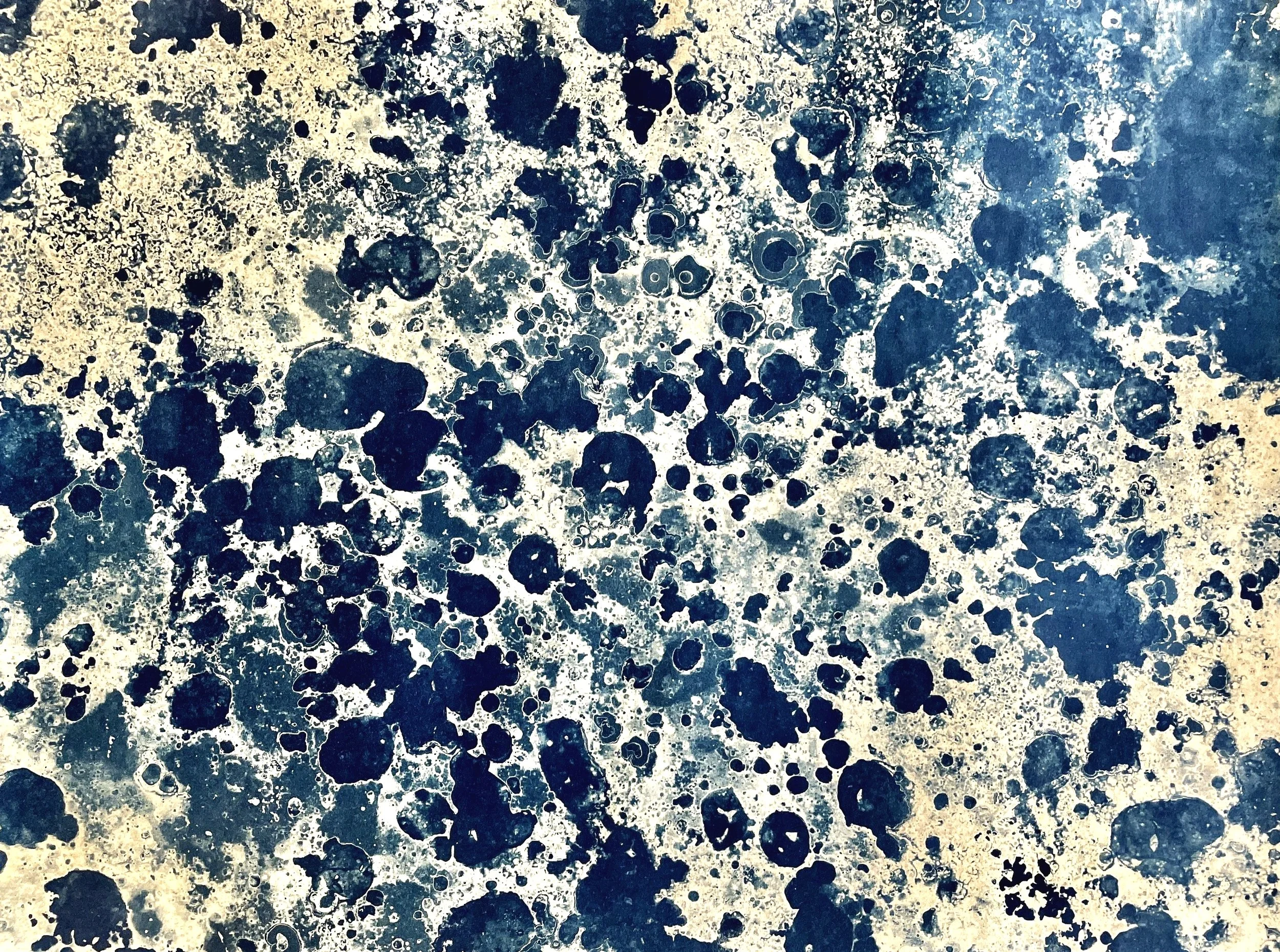 2025 𖦹 cyanotype