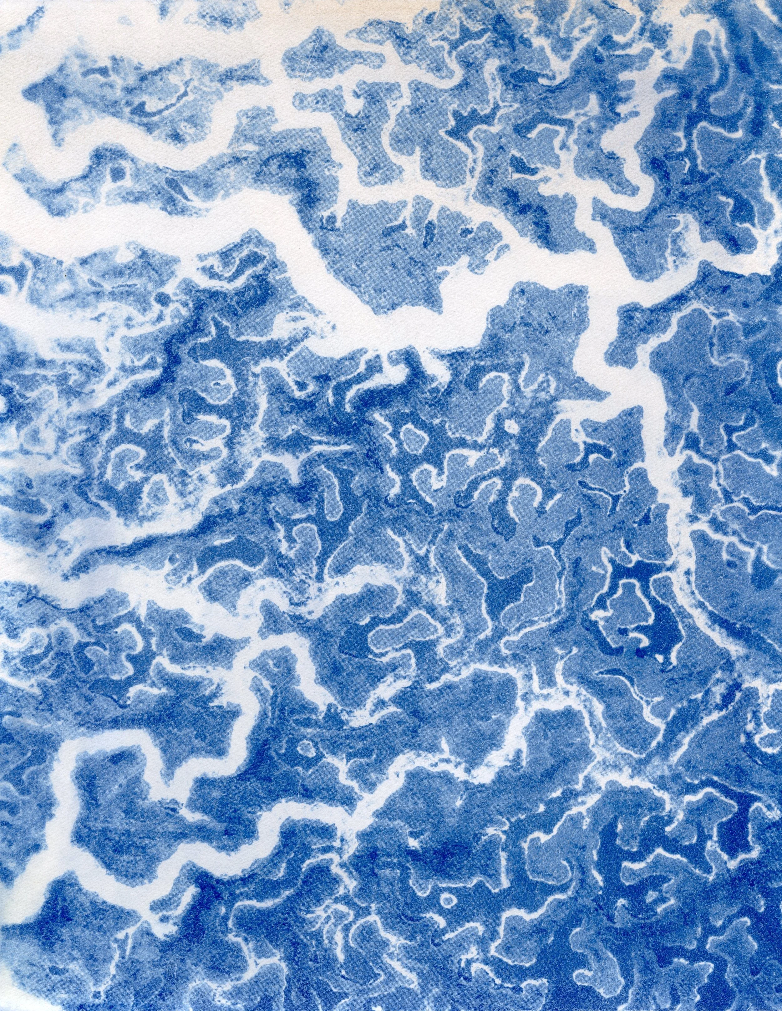 2025 𖦹 cyanotype