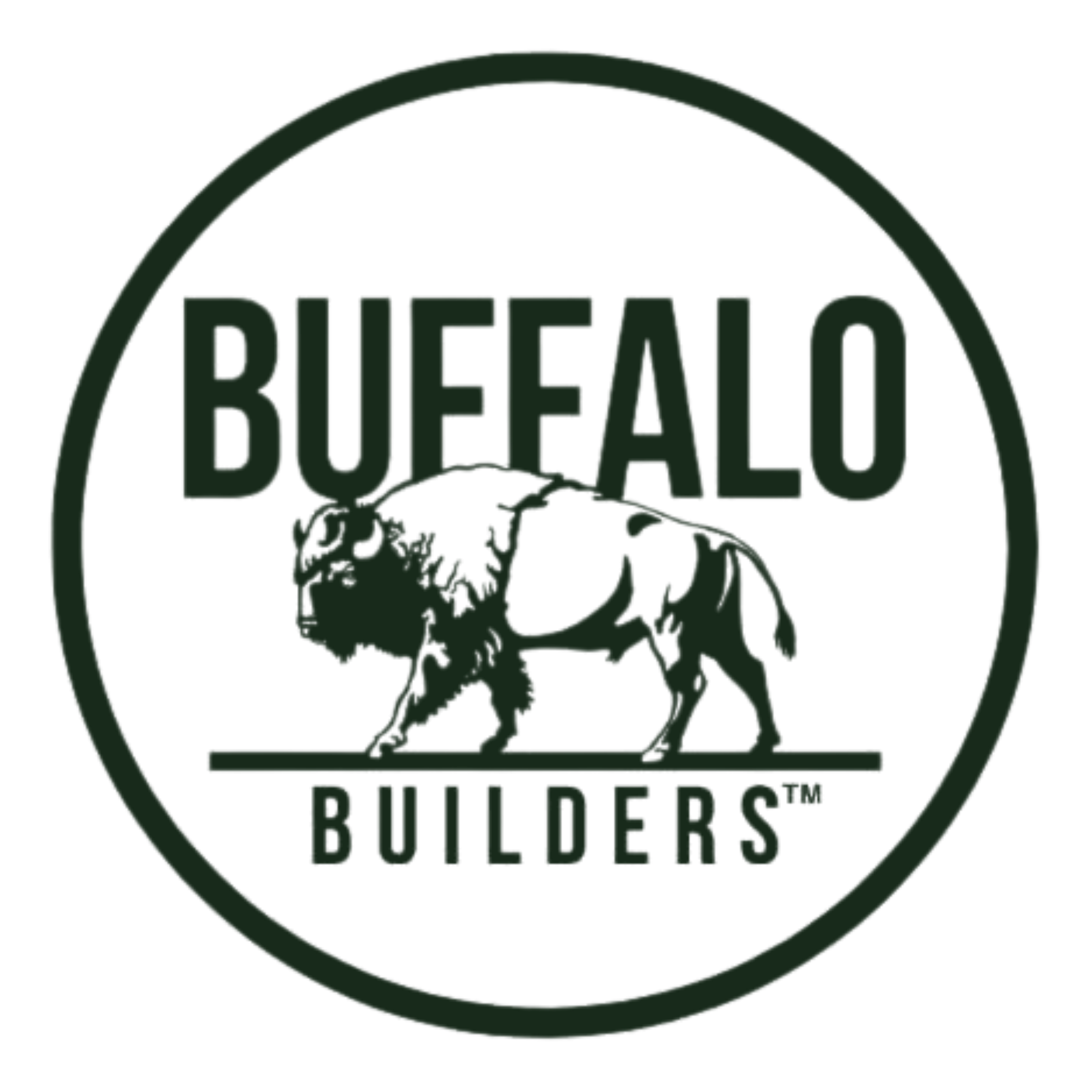 Logo for Buffalo Builders, a speaker with a circular design and the text 'Buffalo Builders' in the center.