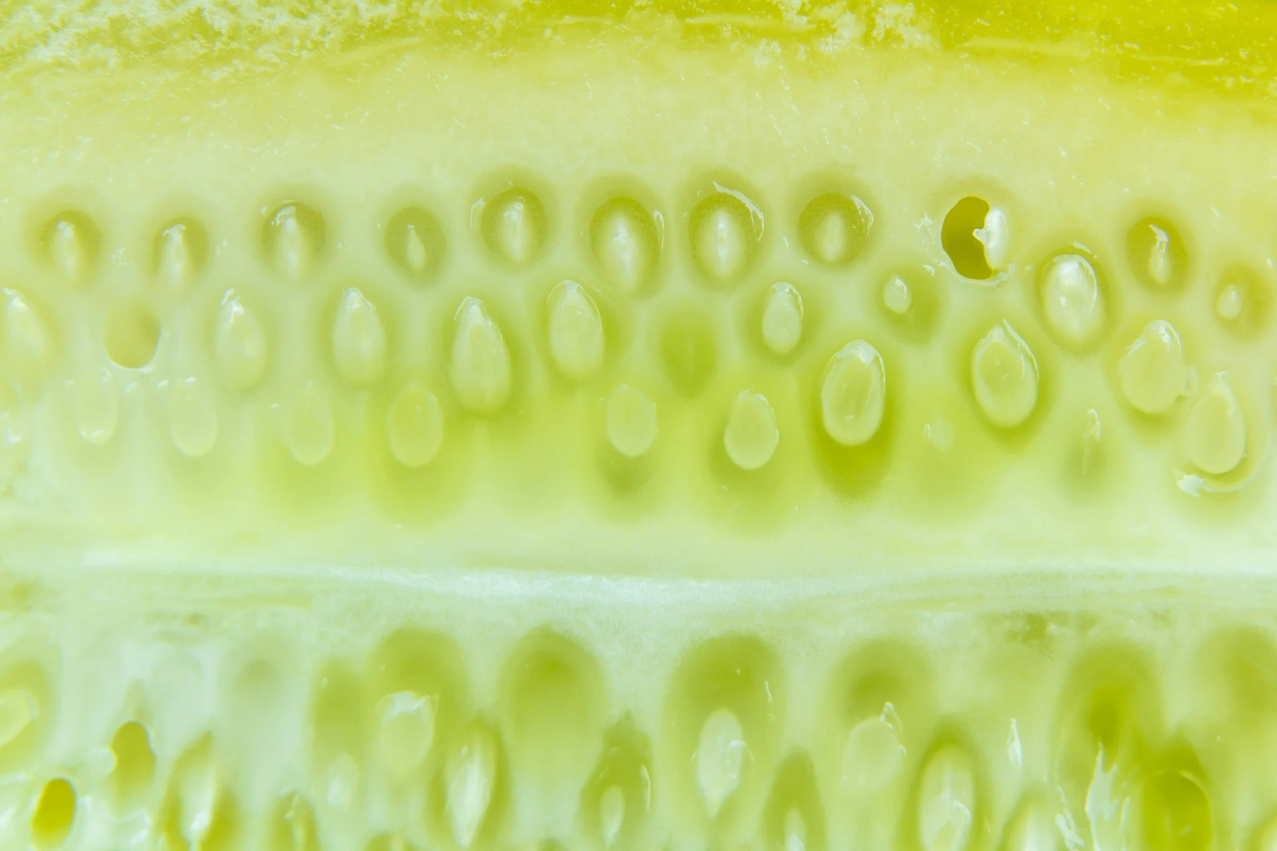 Silica: The Forgotten Architecture of Dermal Hydration