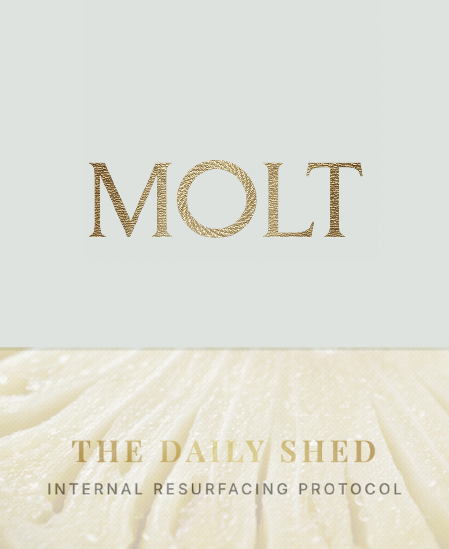 The Daily Shed