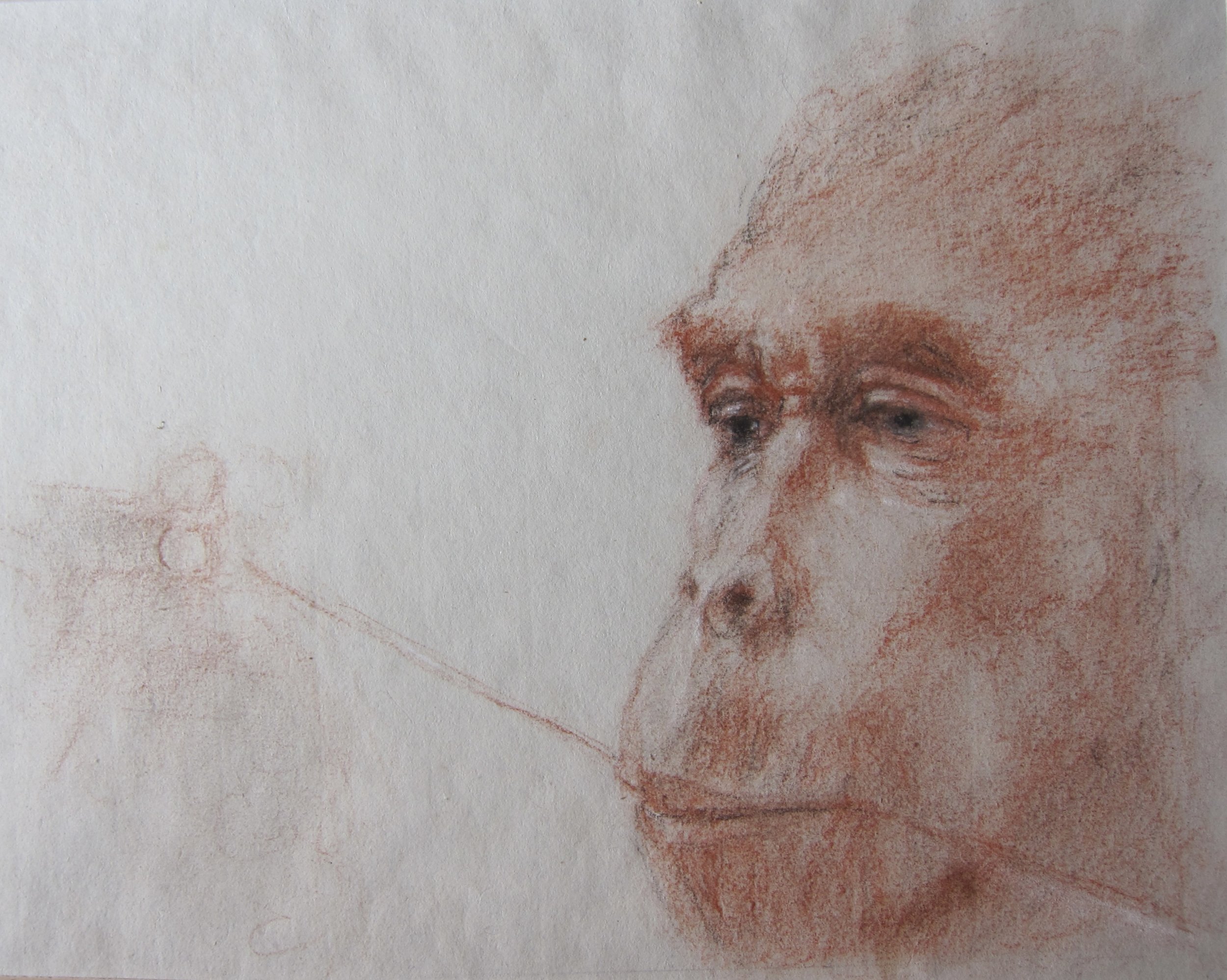 Thoughtful Contemplation: Hand-Drawn Portrait