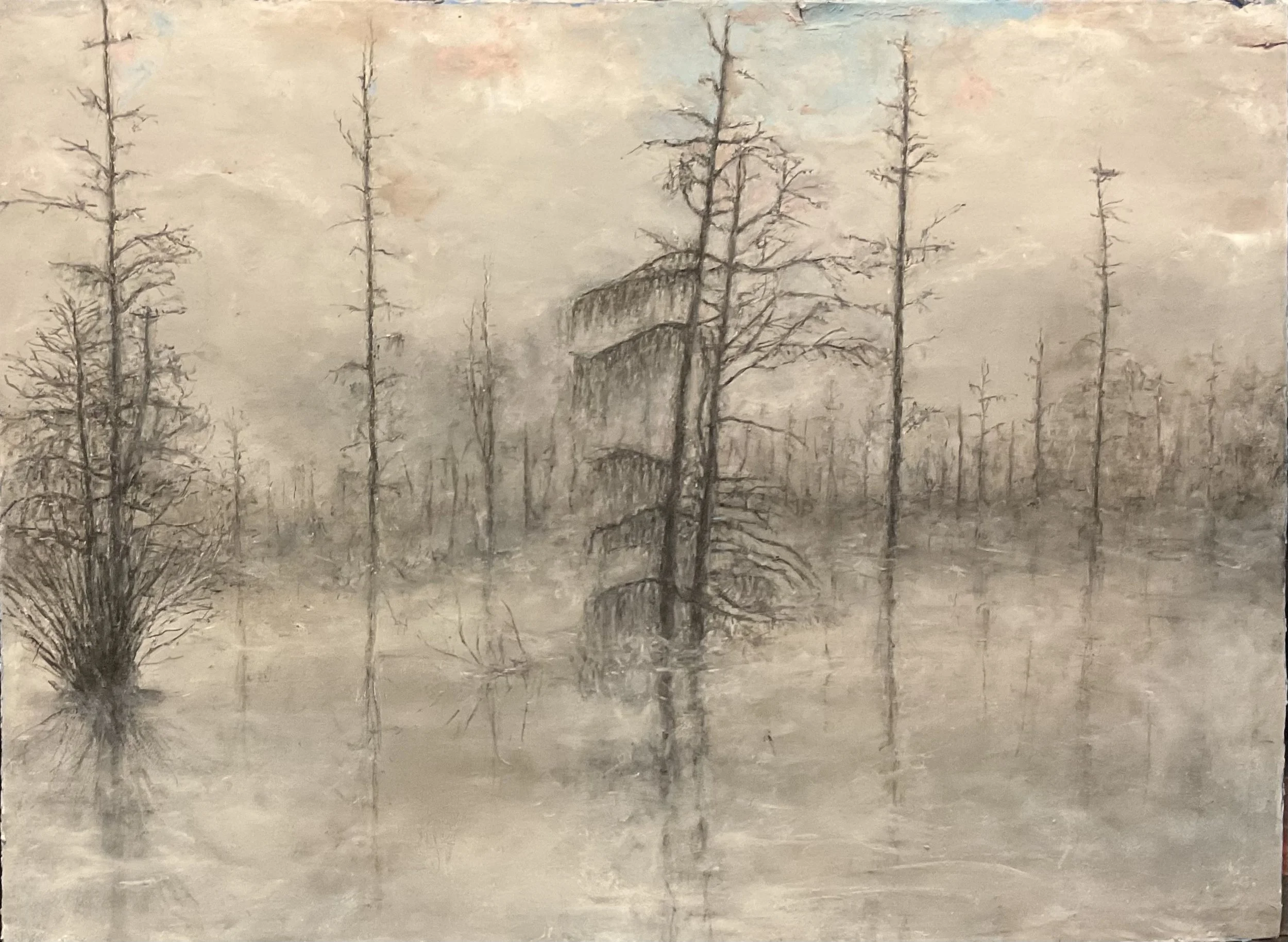 Swamp Oil Painting