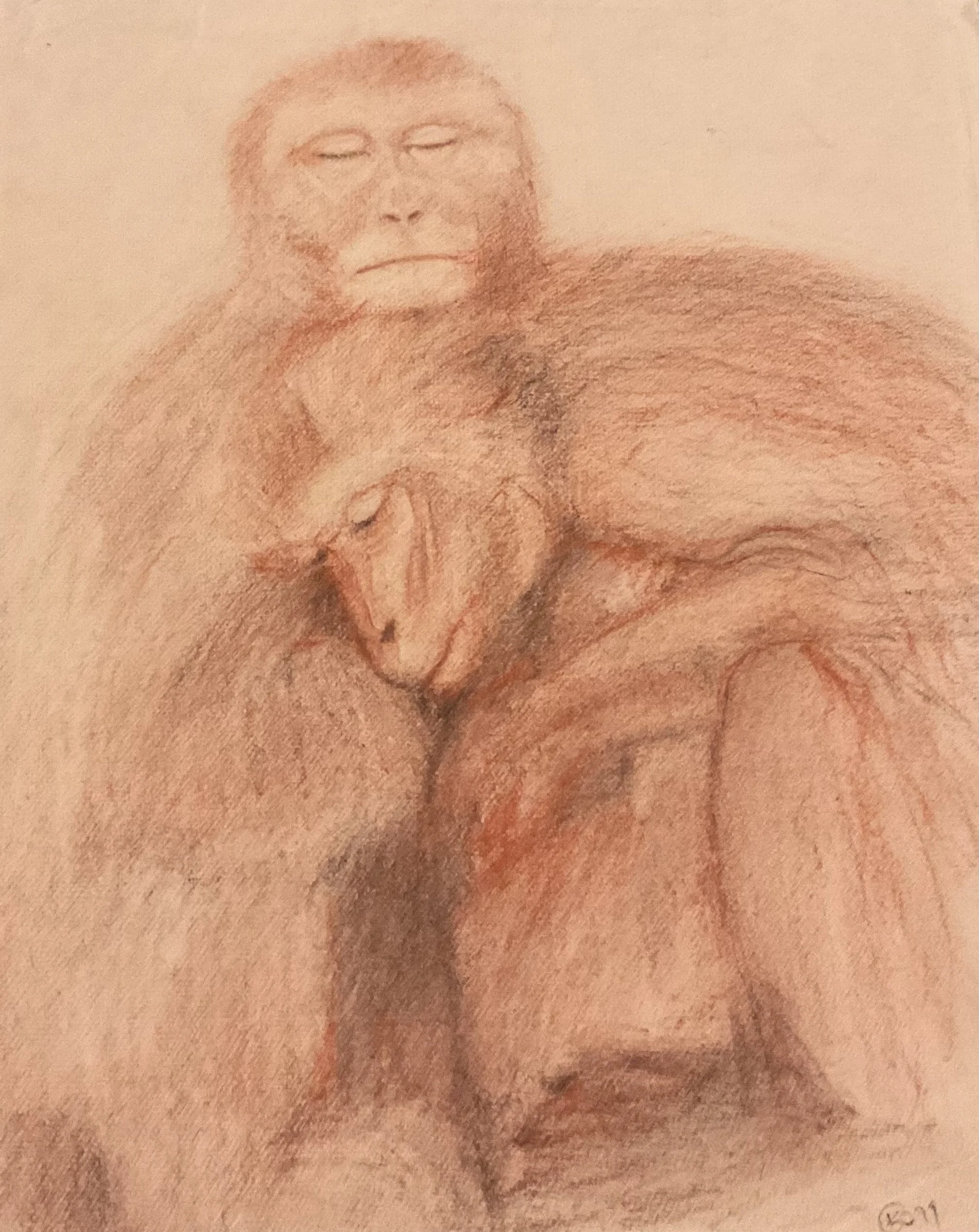 Embracing Monkeys Sketch Art