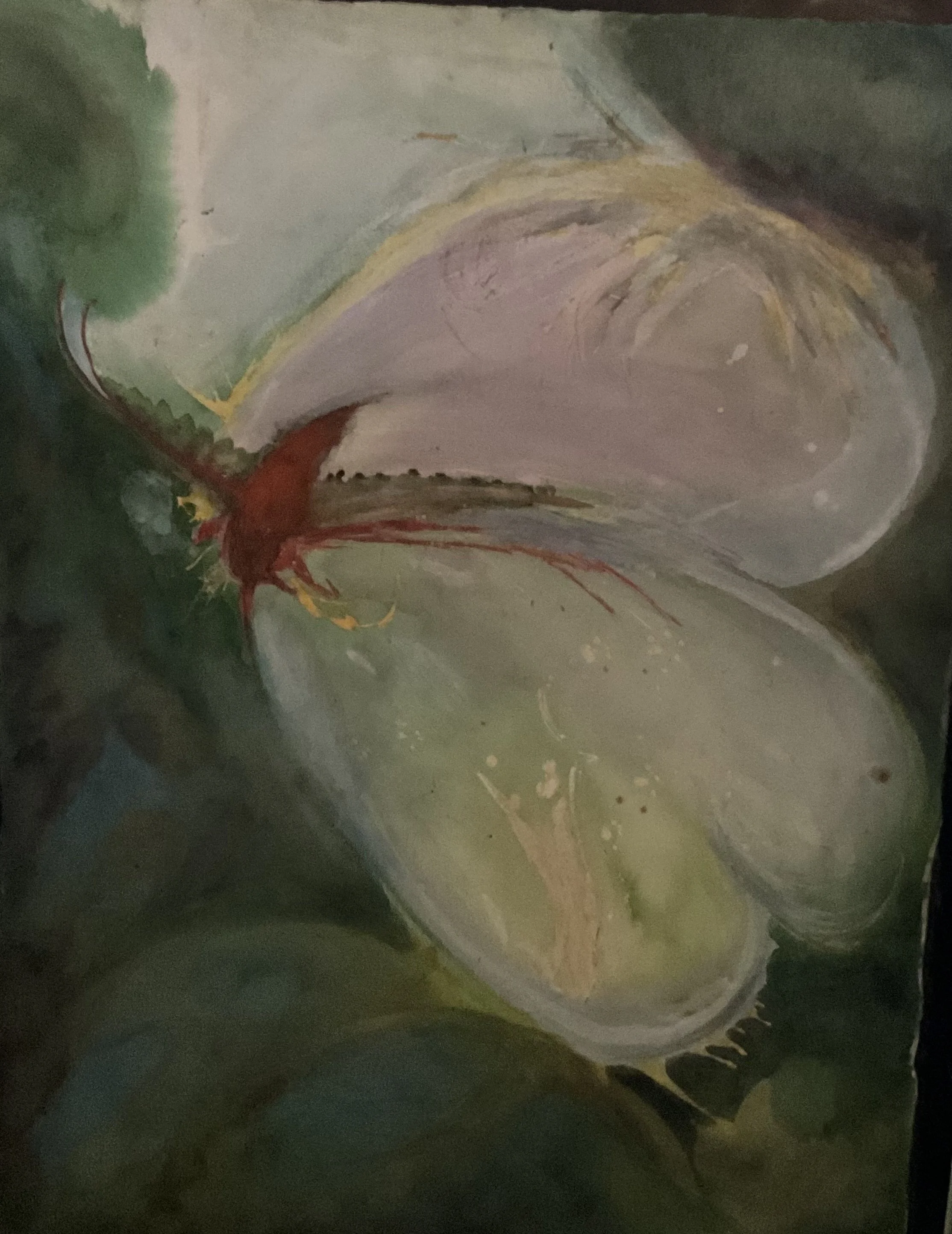 Serenity in Flight: Abstract Butterfly Water Color