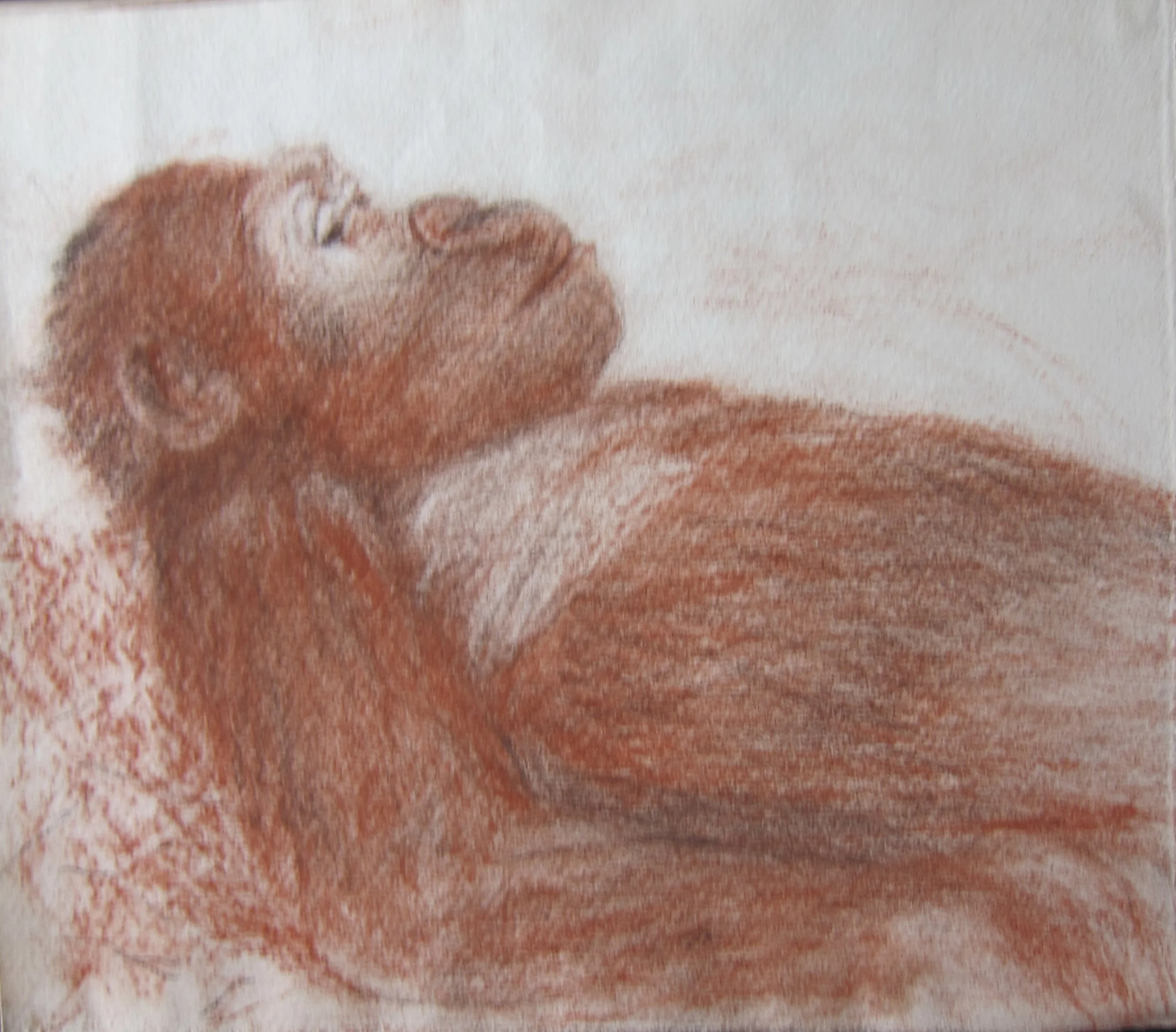 Chimpanzee Repose Painting