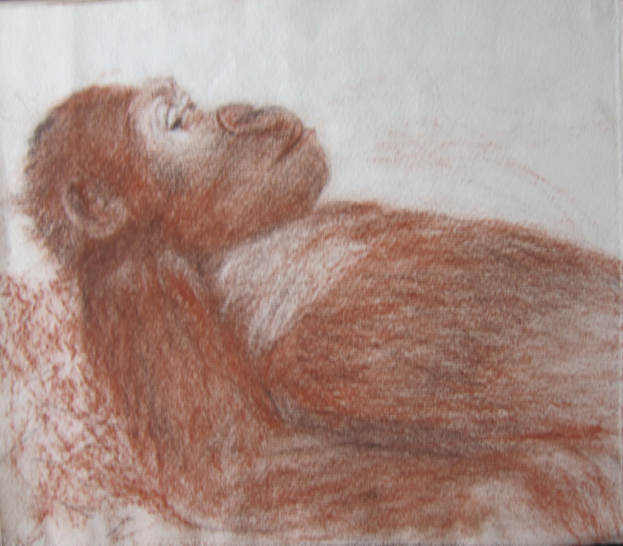Serene Primate Portrait