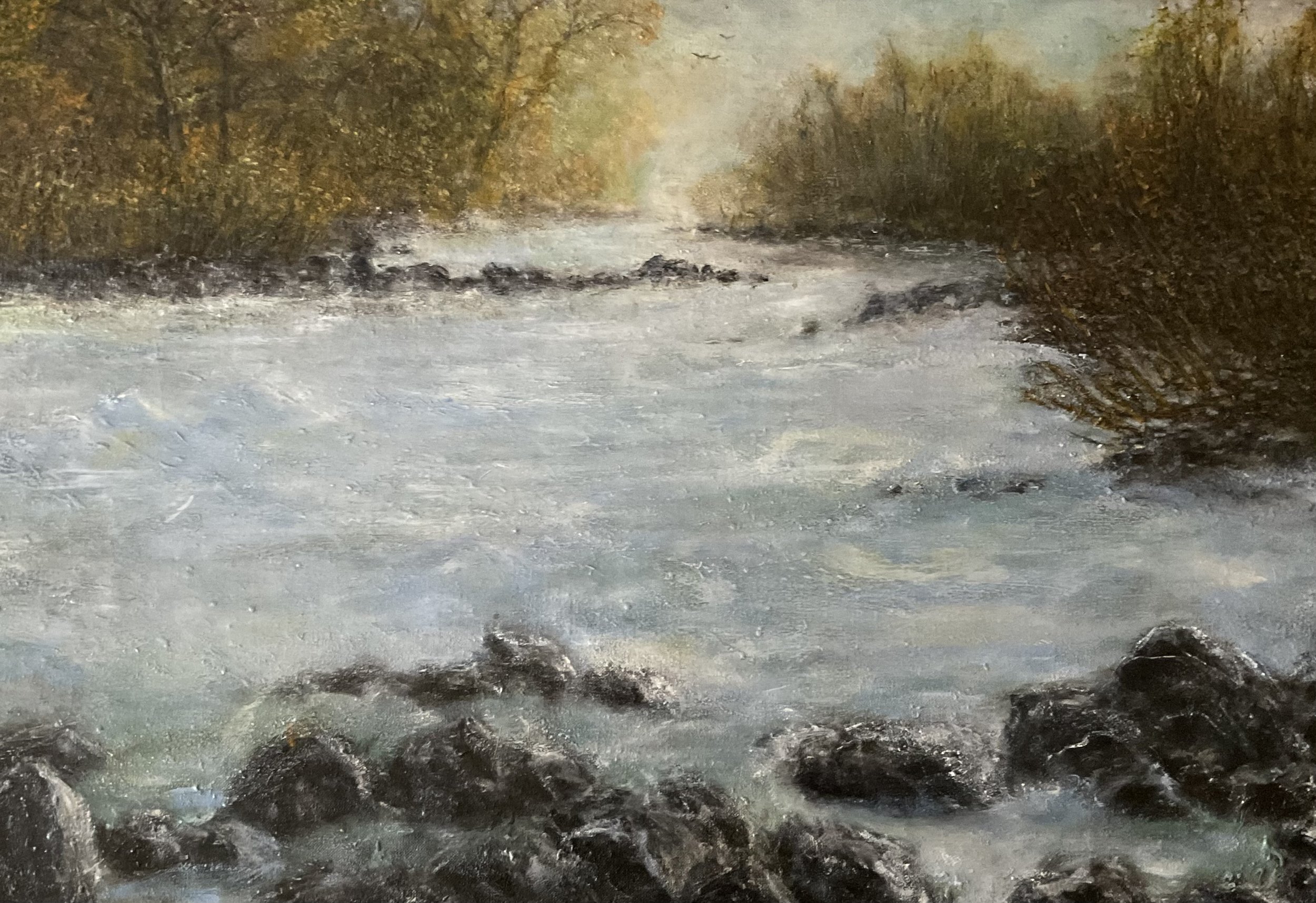 The American River