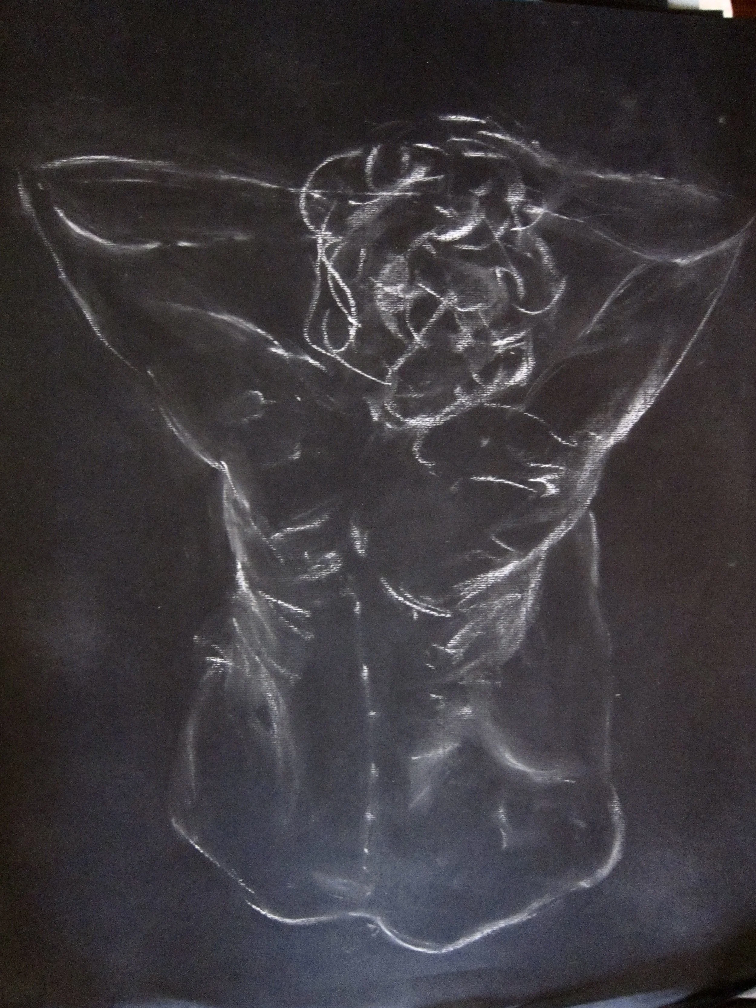 A skull drawn with white chalk on a black background, with detailed outlines emphasizing the skull's shape and features.