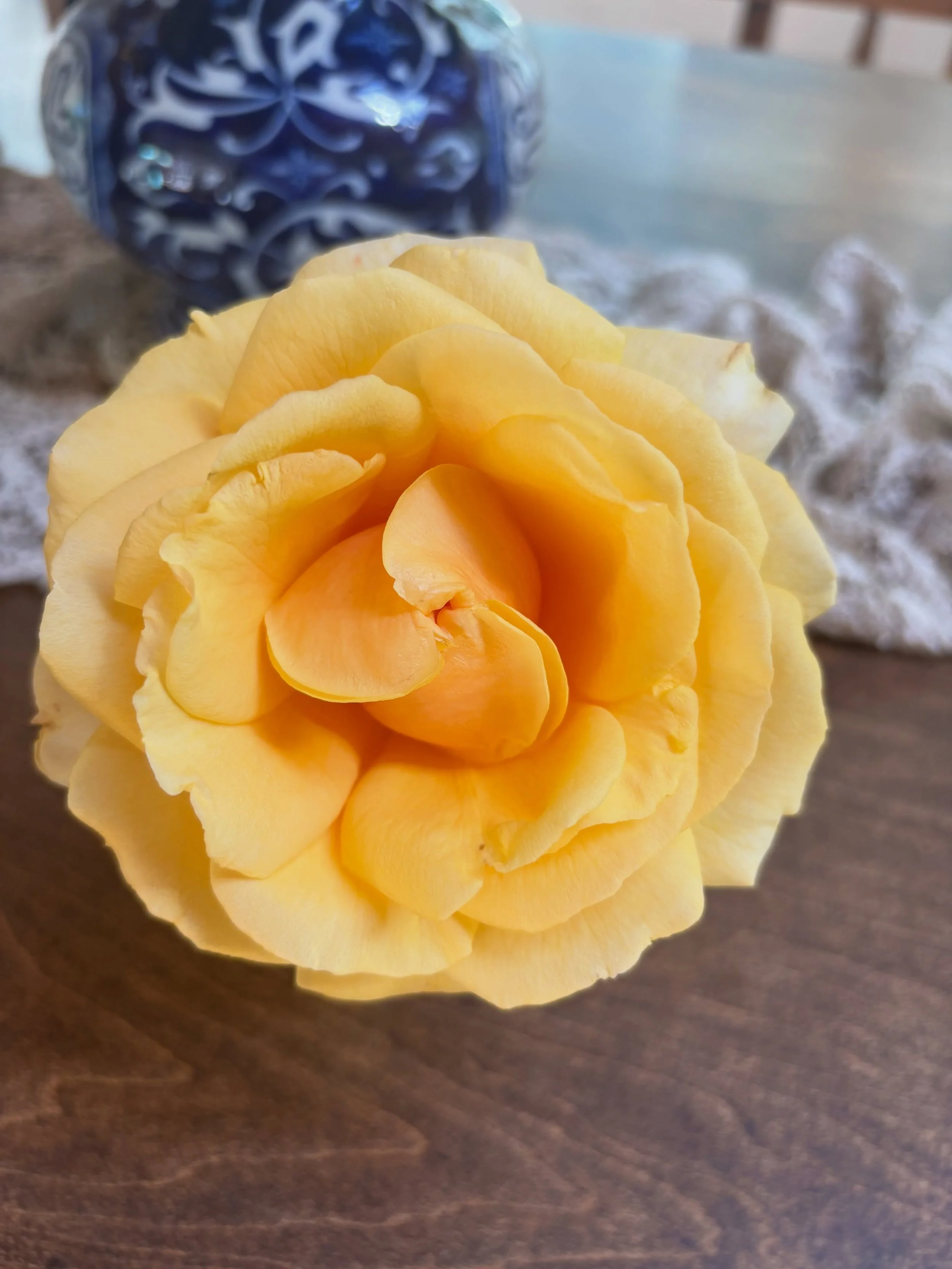 Keeping the bloom on the rose. 🌹