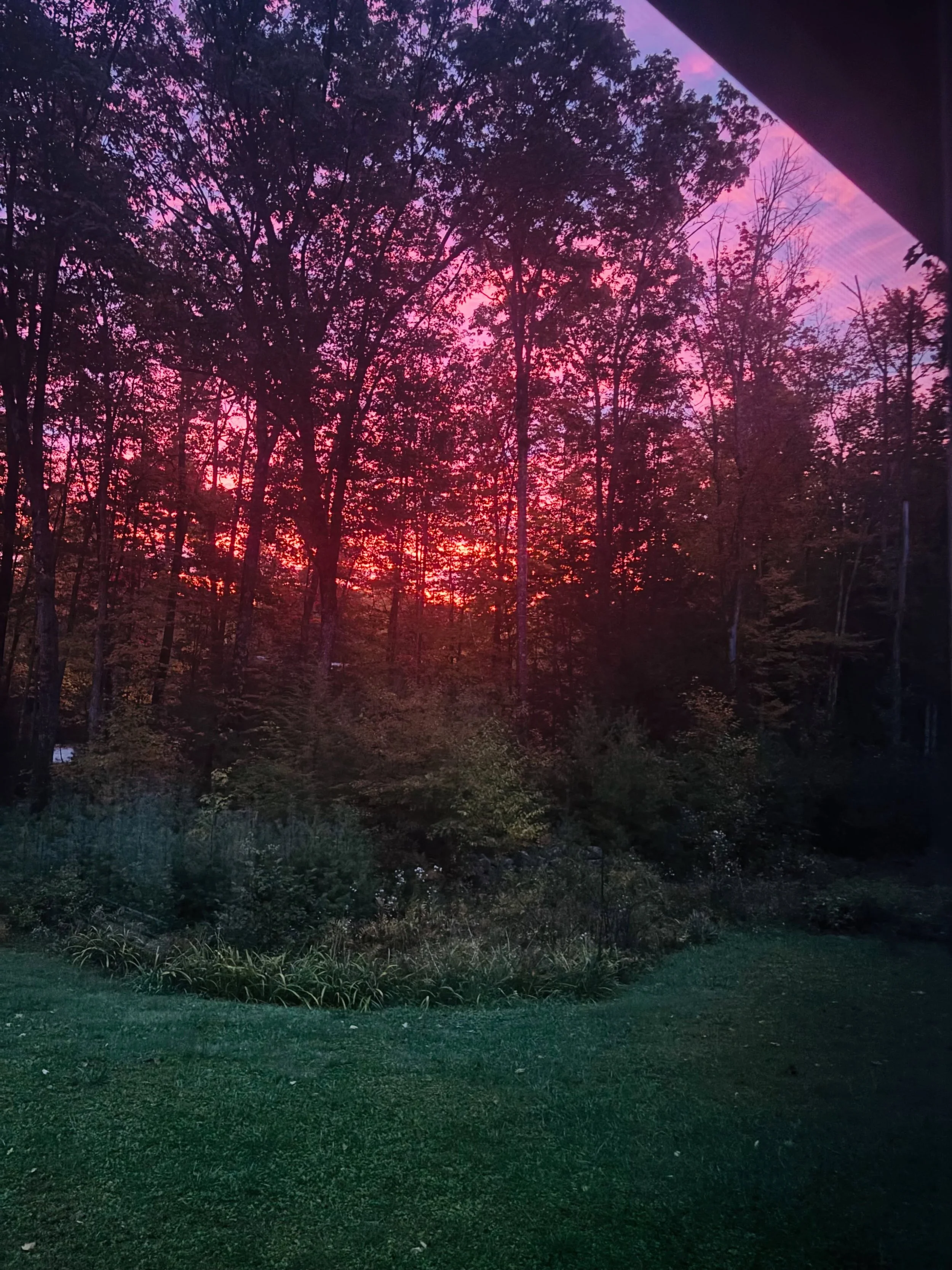 Let&rsquo;s take a moment for the 🌅