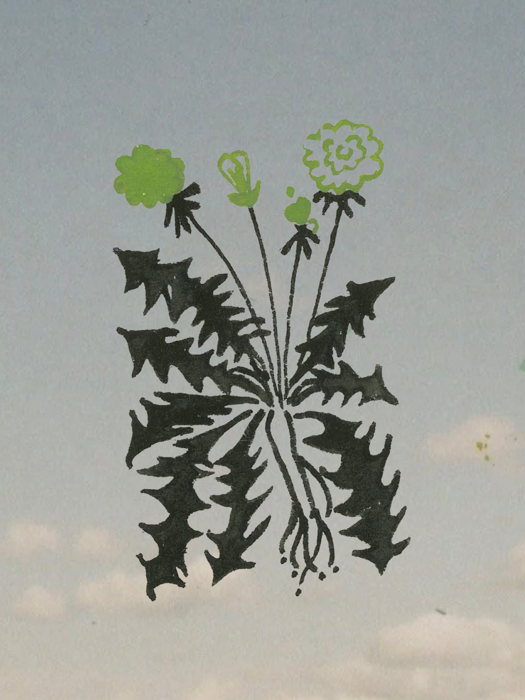 illustrations