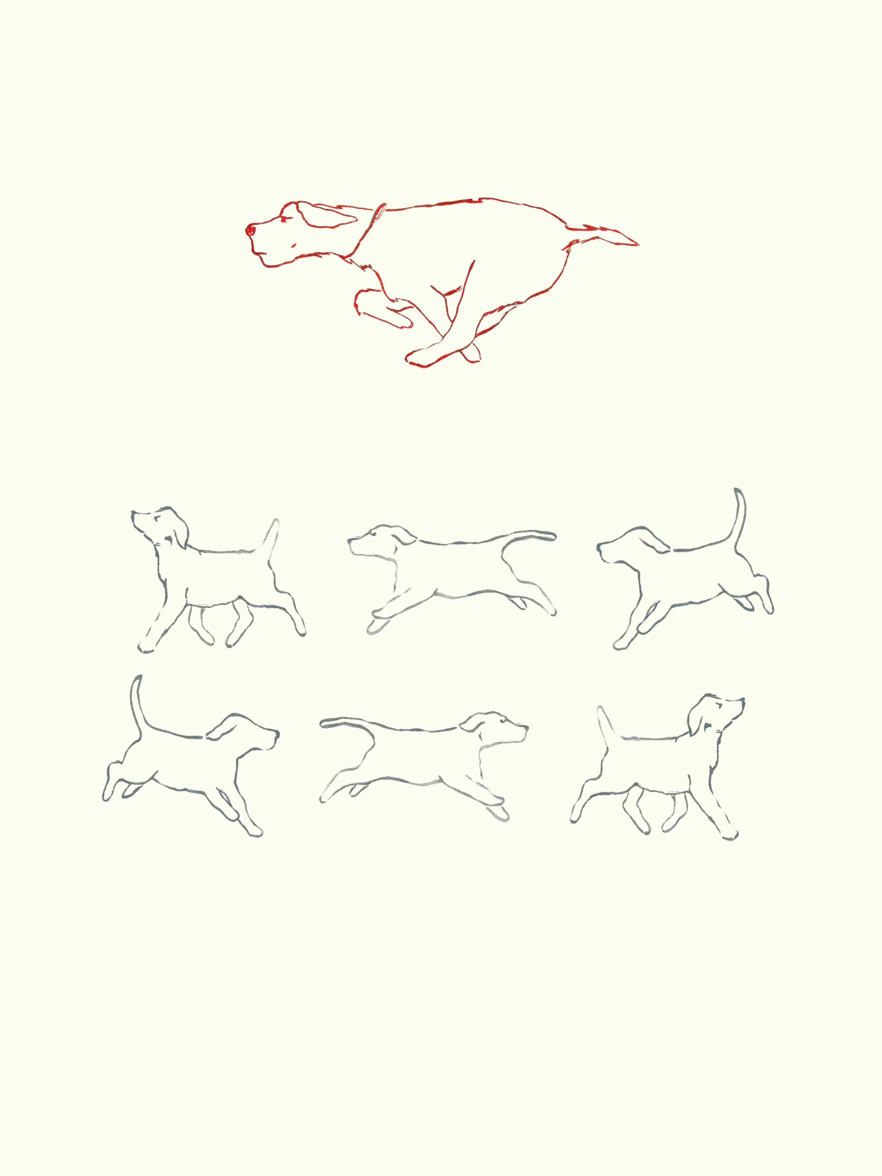 IMG_0213.PNG