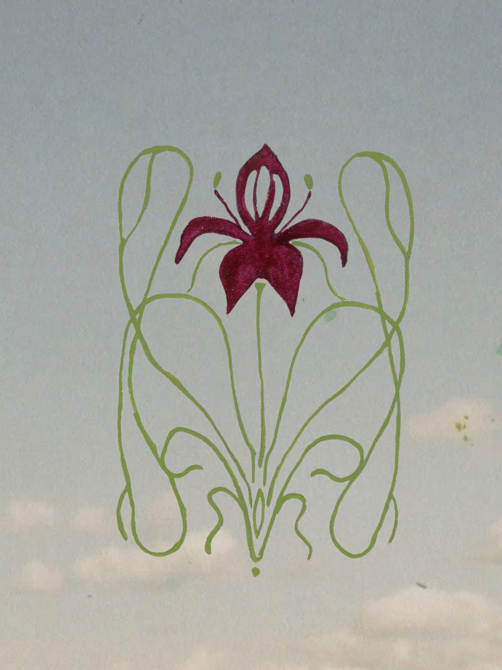 IMG_0225.PNG