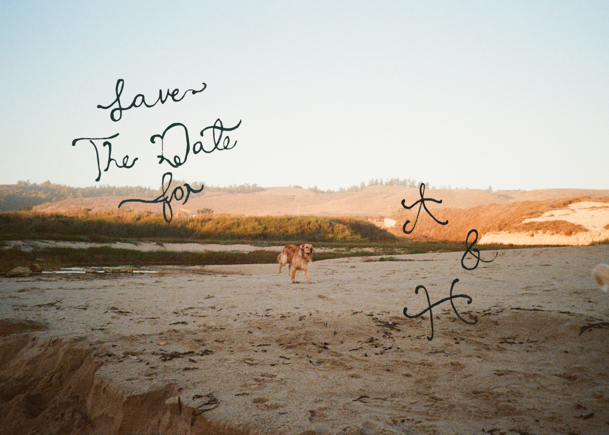 IMG_0208.PNG