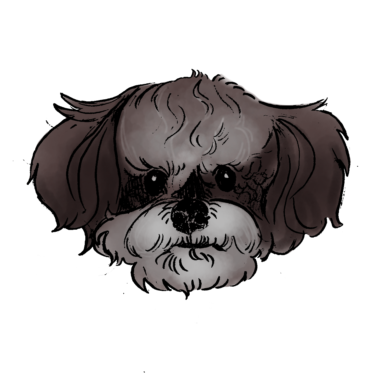 Untitled17_20241218135533.PNG