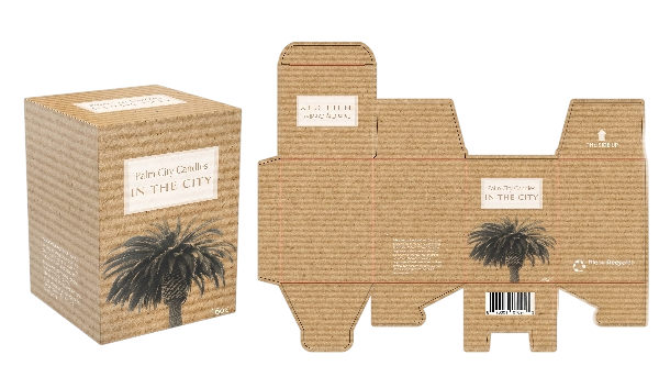 Unfolded cardboard packaging for a product titled "Palm City Central in the City" featuring a palm tree illustration and recycling logos.