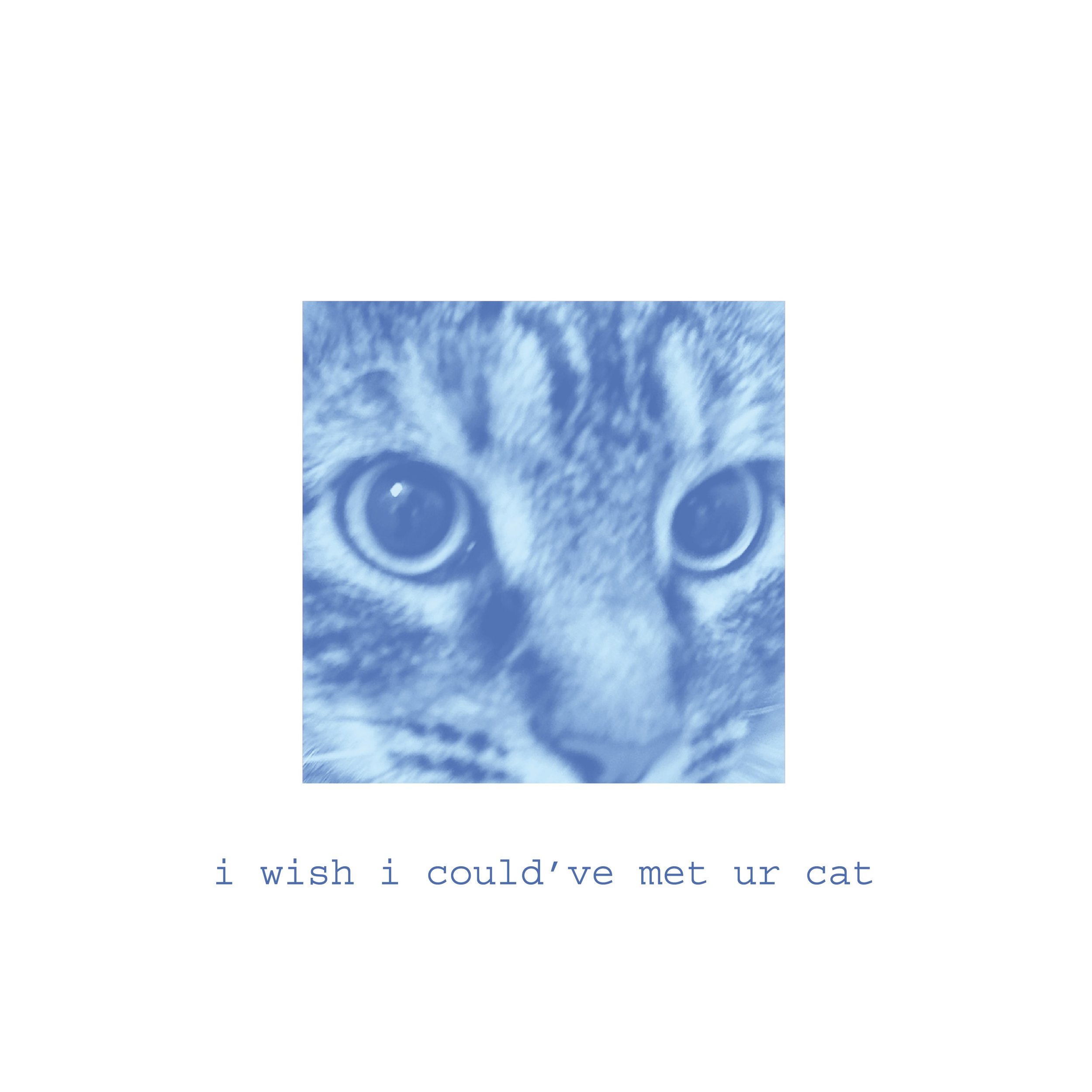 + Martha Zine