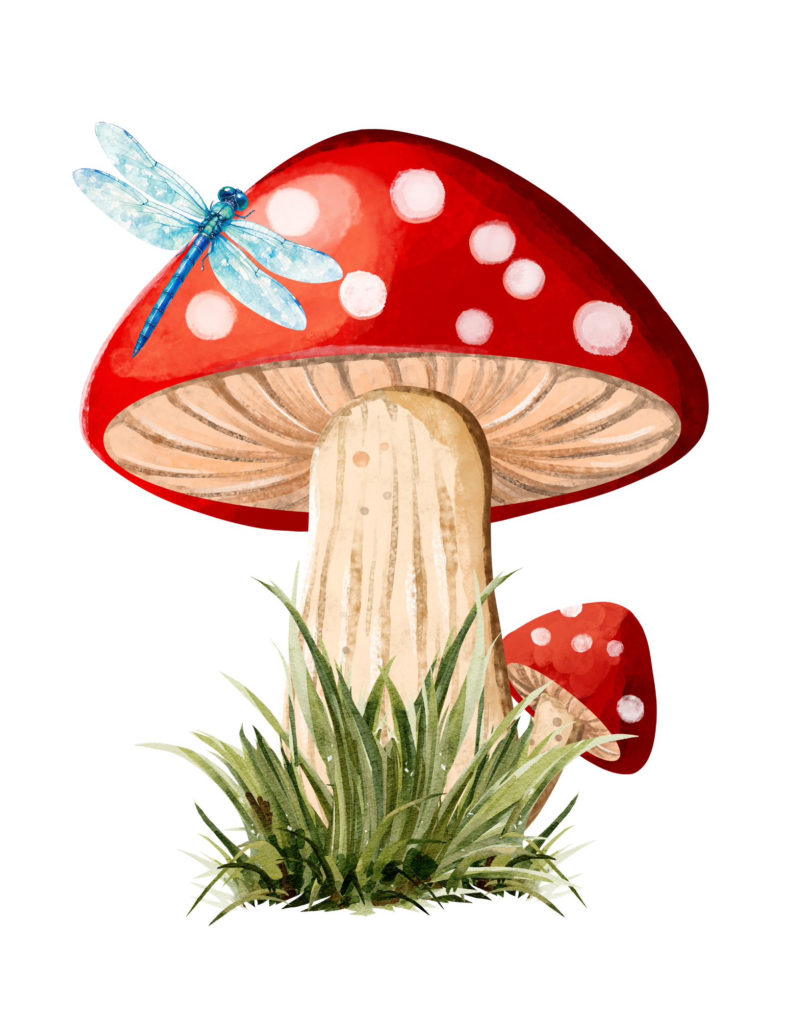 Watercolor illustration of a red and white spotted mushroom with a blue dragonfly perched on its cap, surrounded by grass and small mushrooms.