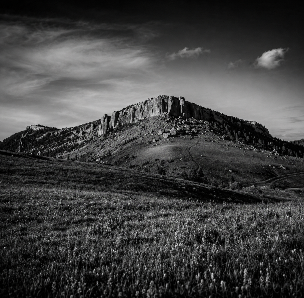 Black and white landscape featuring a grassy foreground, a hill with rocks, and a prominent flat-topped mountain with steep cliffs in the background under a partly cloudy sky.