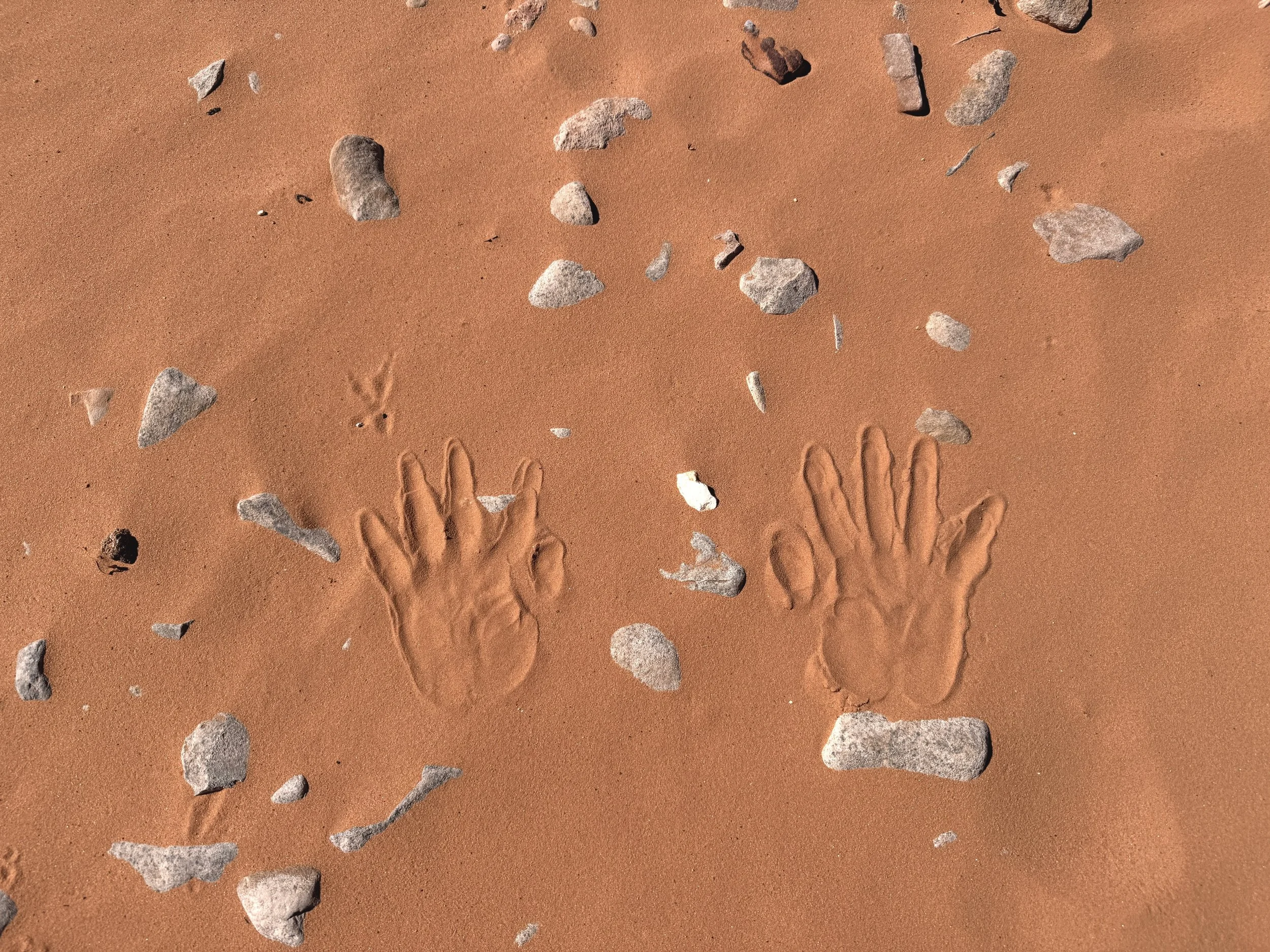 Handprints in red desert sand surrounded by scattered rocks and pebbles.