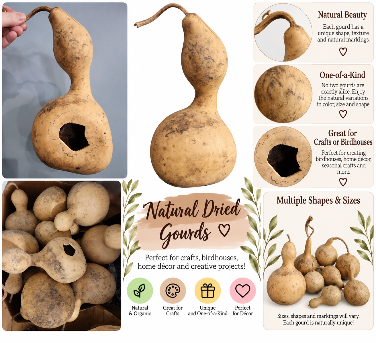 Natural Dried Gourds Craft Collage.png