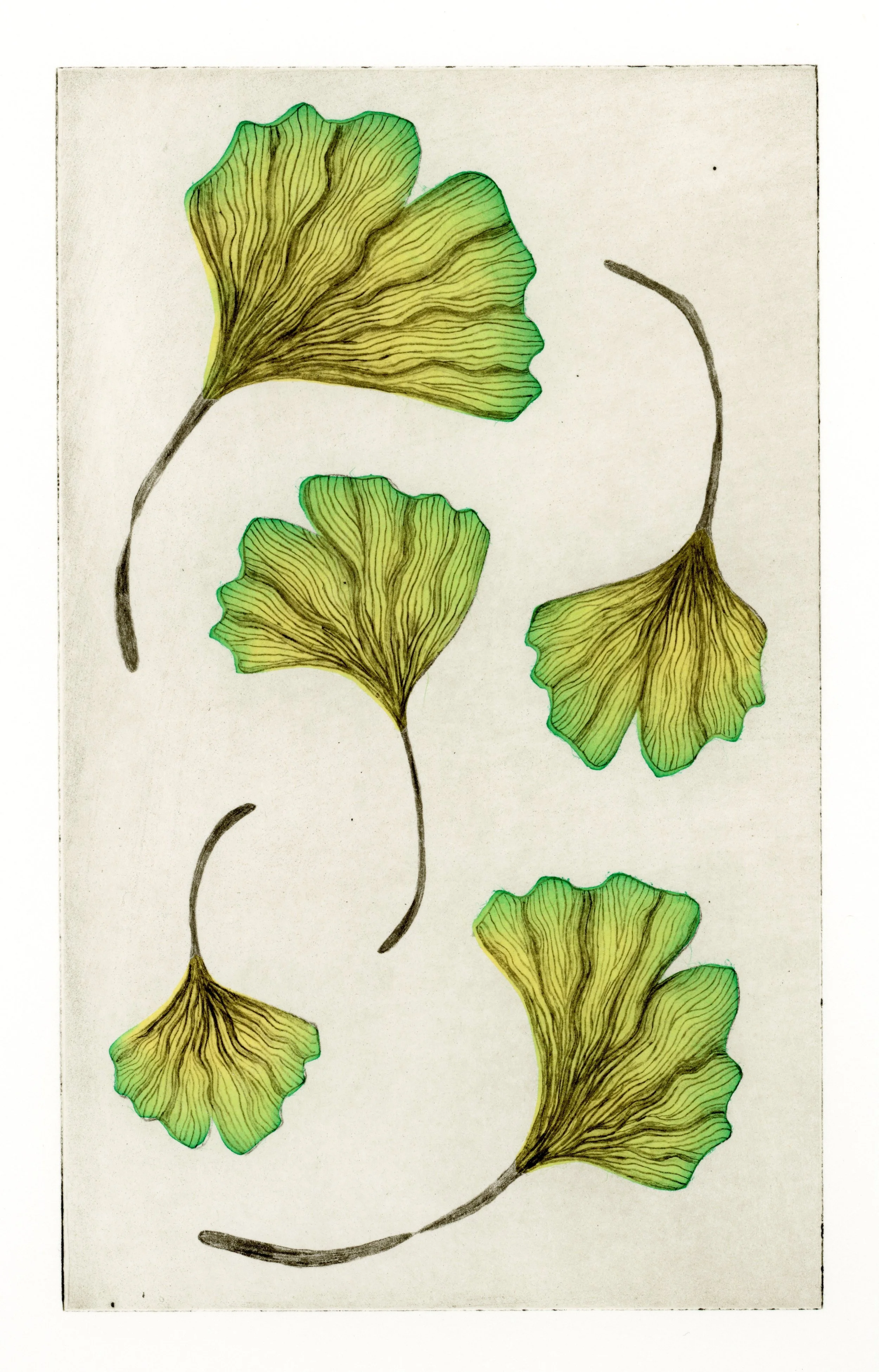 Ginko Leaves 5x8