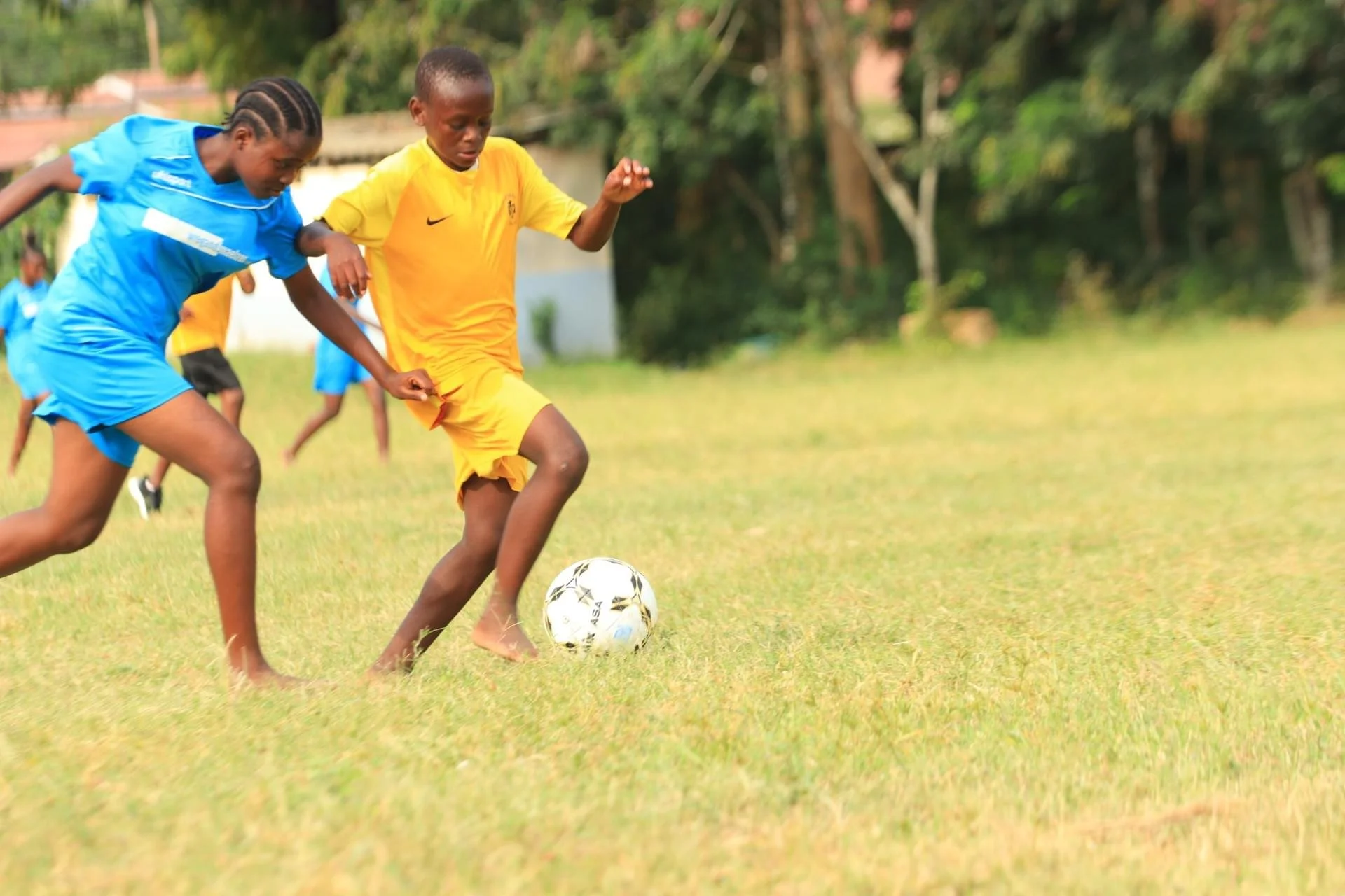 Children playing soccer on a grassy field, with some wearing blue and yellow sports uniforms.