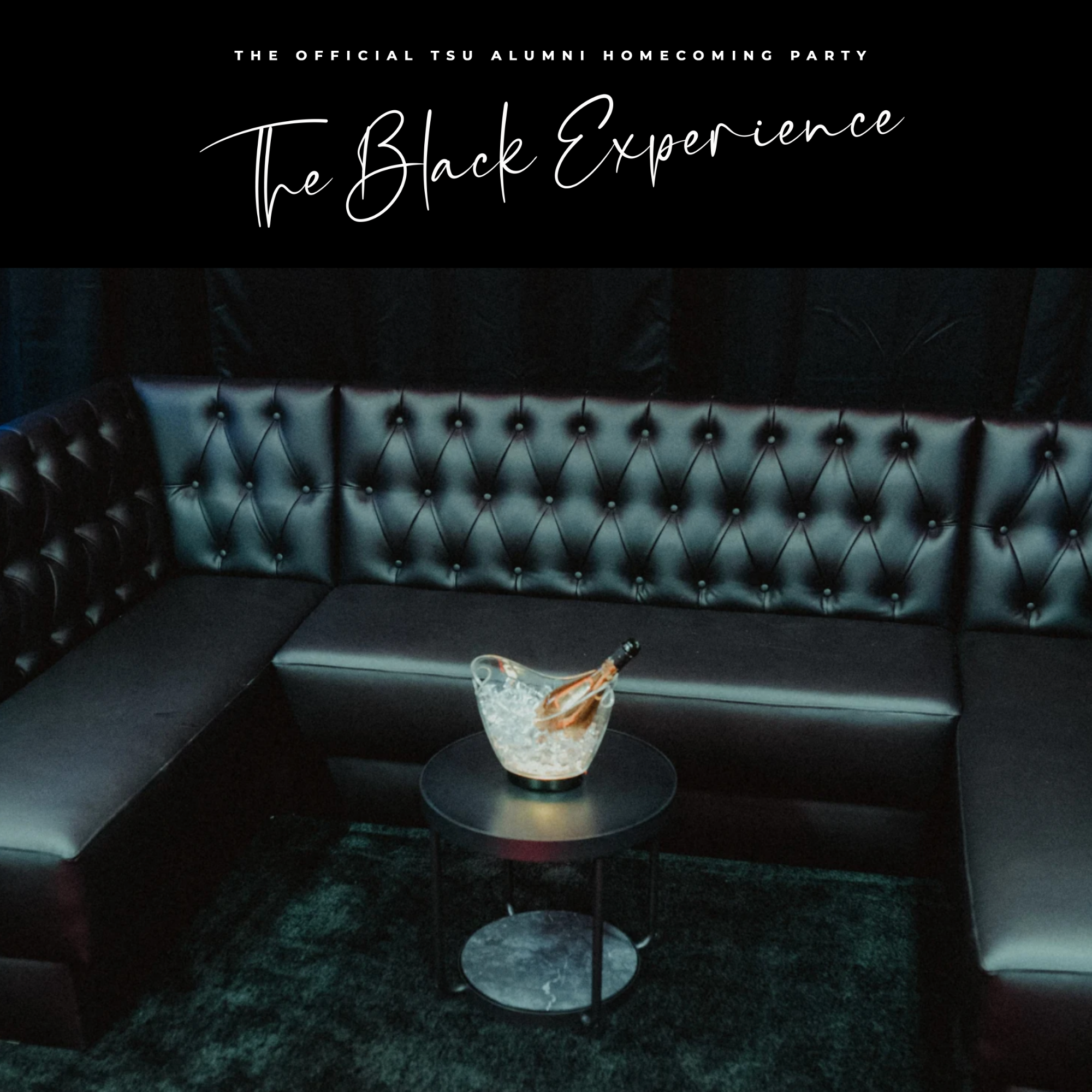 The Black Experience Alumni Party Sections