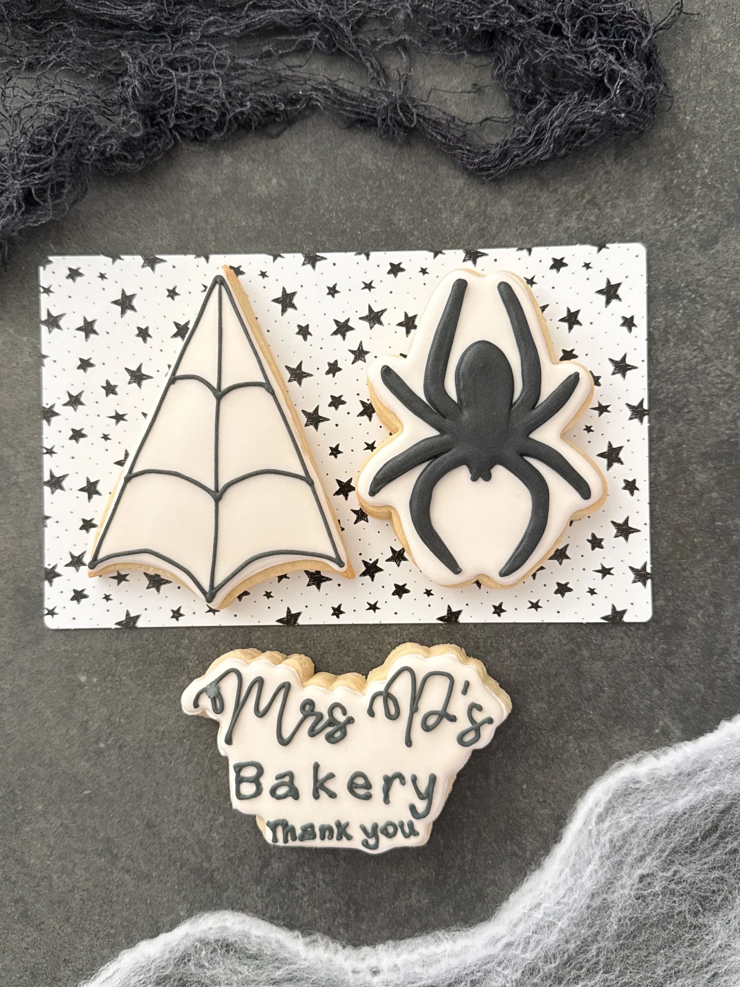 Spider and web