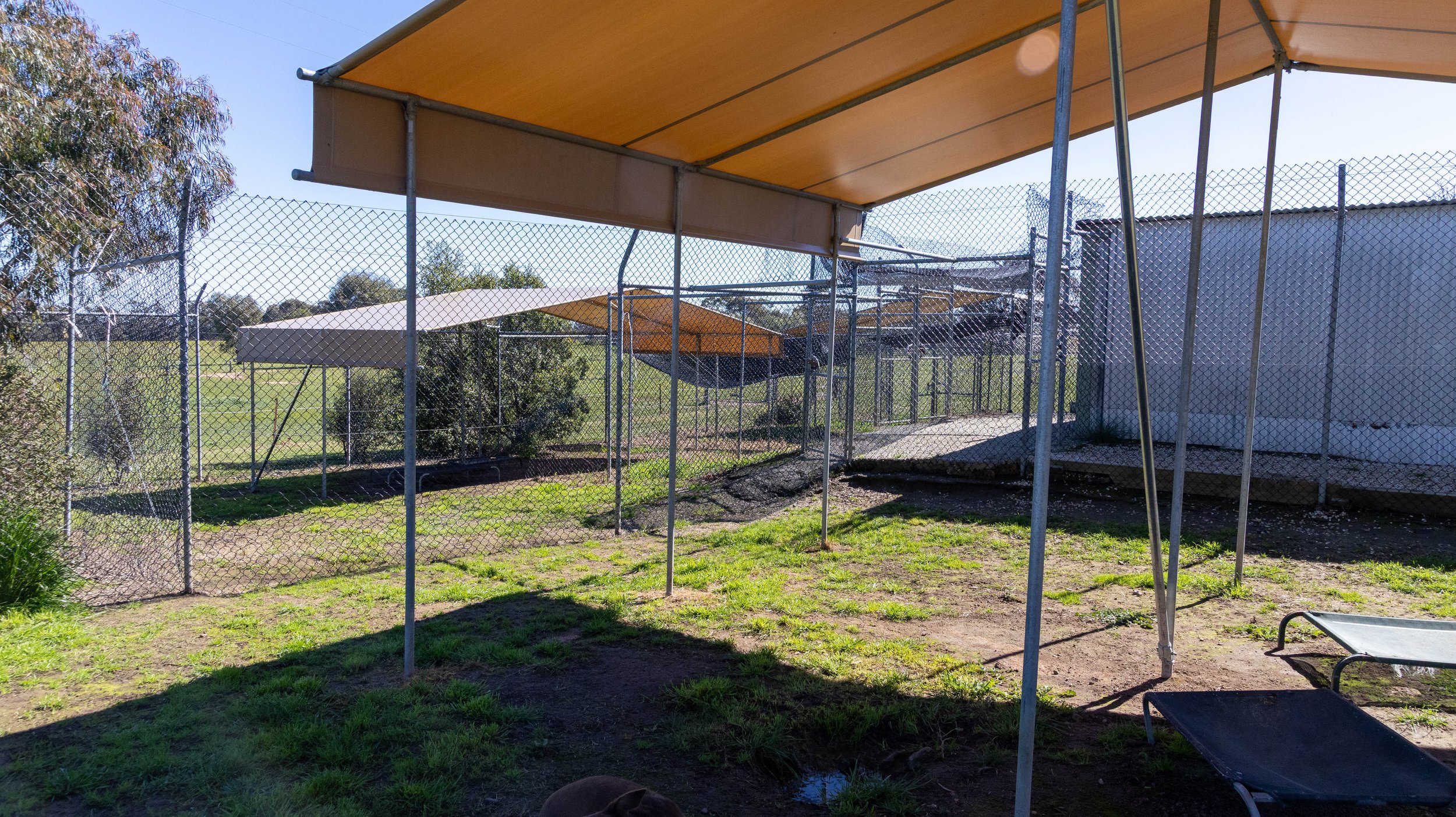 An outdoor fenced animal enclosure with shaded areas, surrounded by trees and grass, under a clear blue sky.
