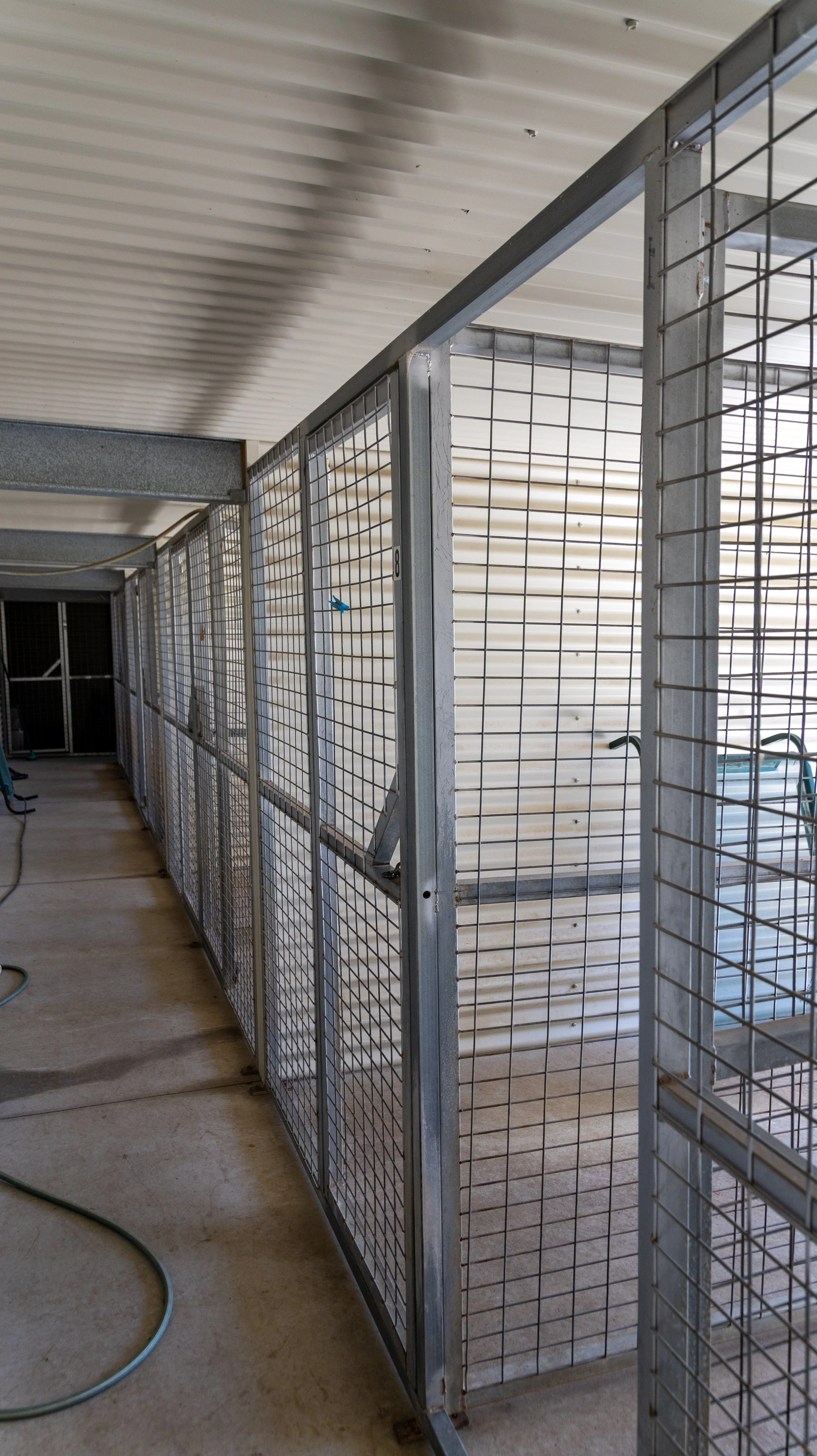 Interior of a metal cage with wire grid panels, a wooden wall, and a ceiling with horizontal panels.