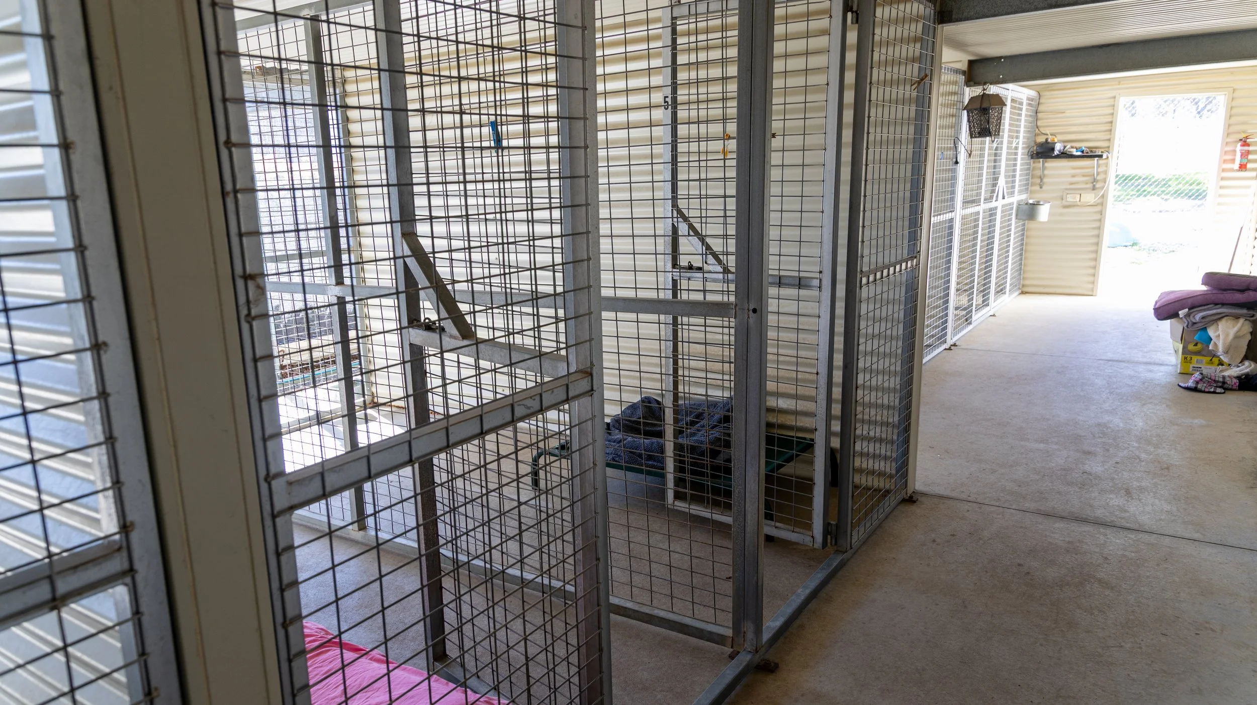 Empty metal animal cages inside a room with beige walls, some pet supplies stacked on a table, and a door leading outside.