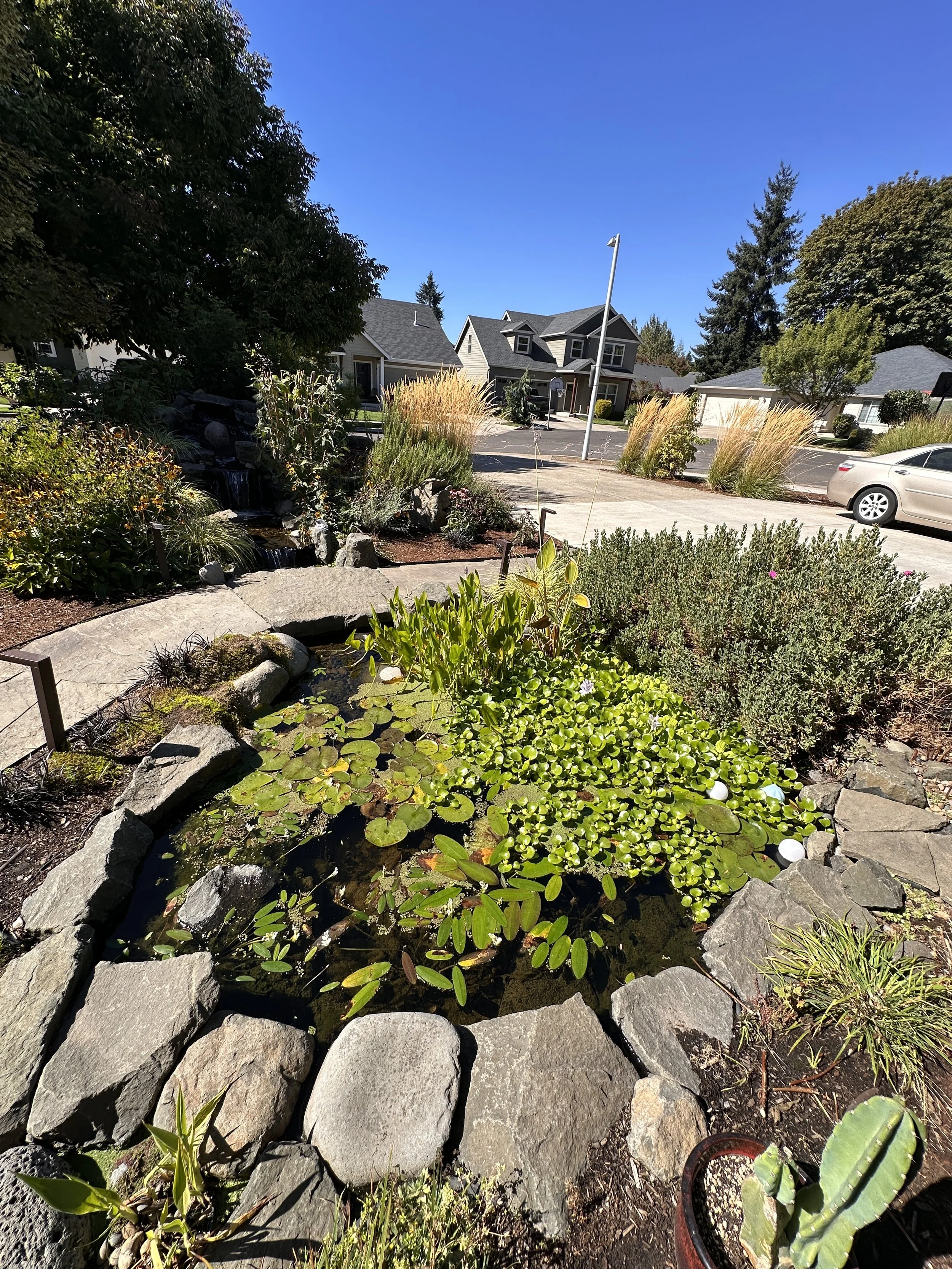 Satori Landscape Design project photograph 5