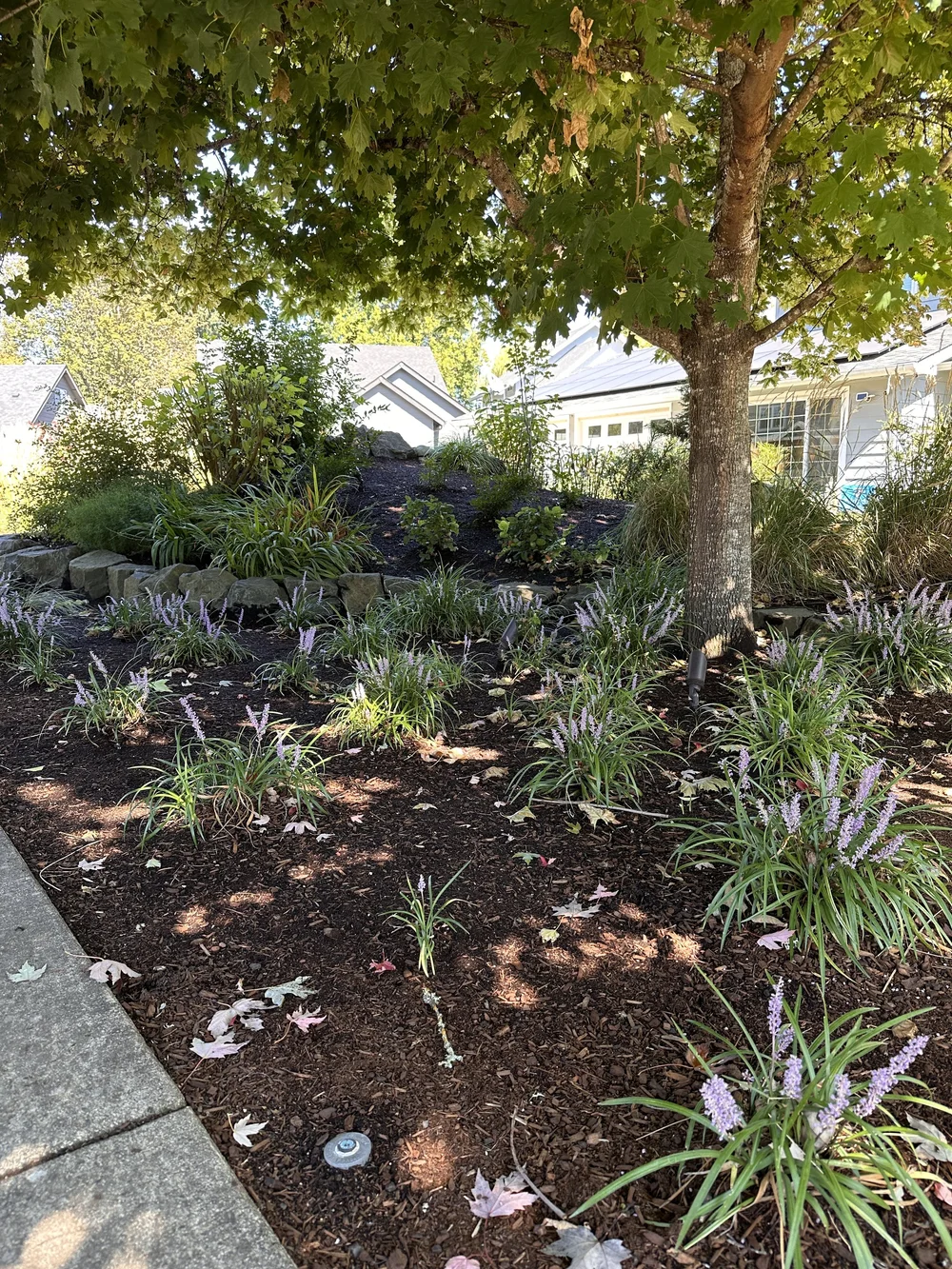 Satori Landscape Design project photograph 6