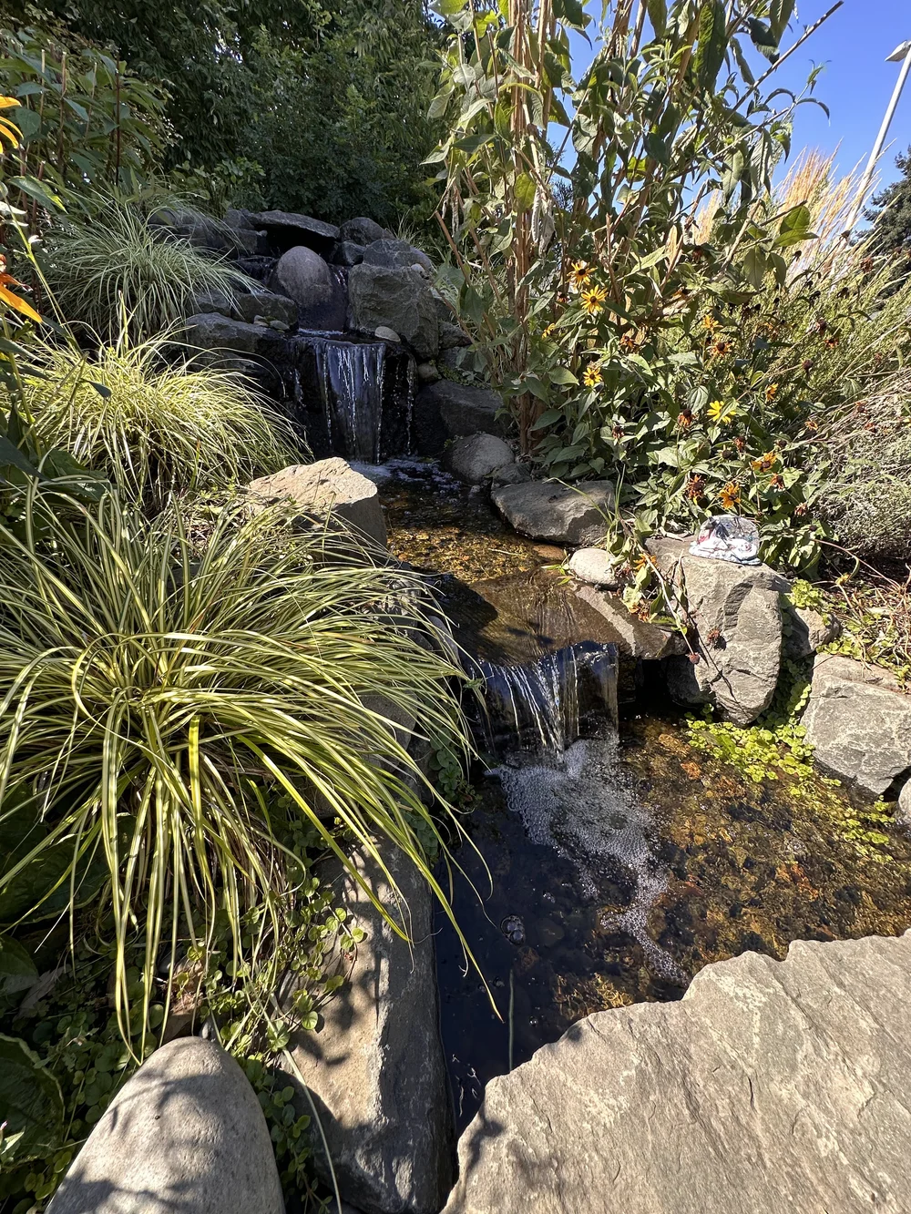 Satori Landscape Design project photograph 1